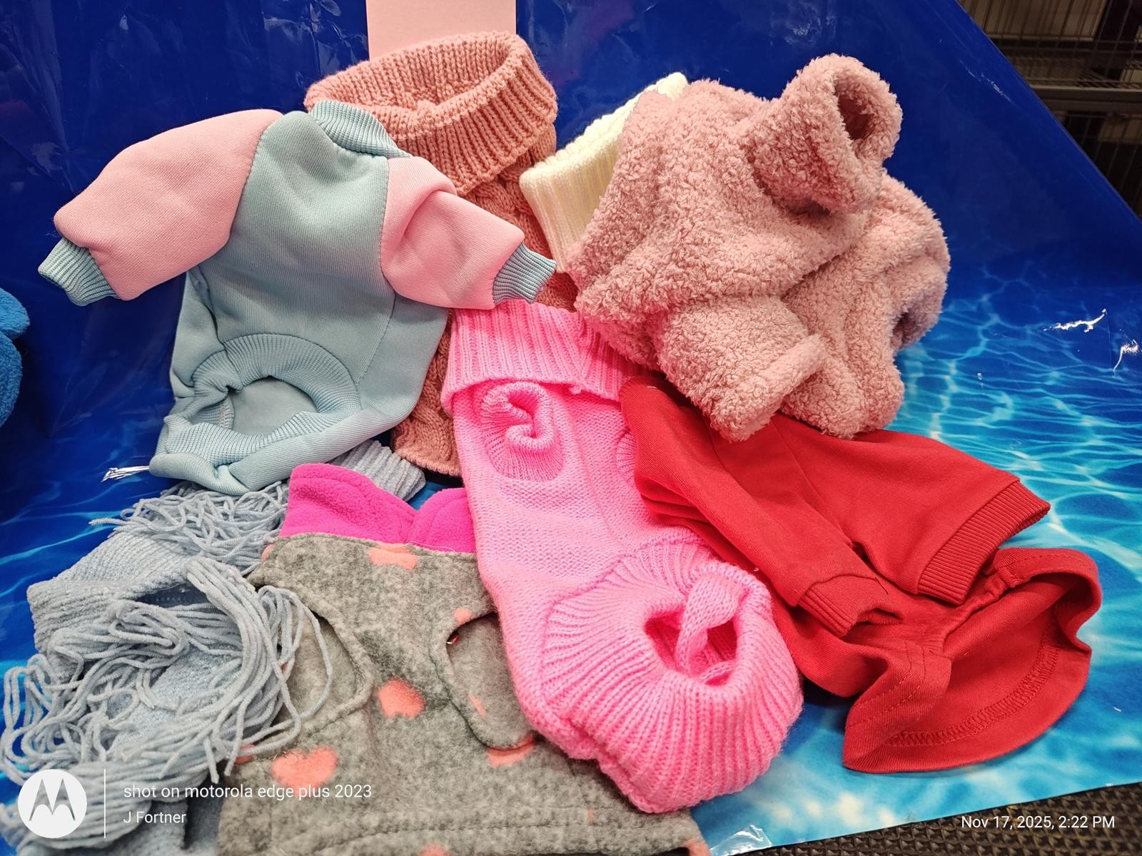 Dog Outfit Bundle ( Xtra Small 4 to 6 Pound Pets ) Brand New Save with a Bundle