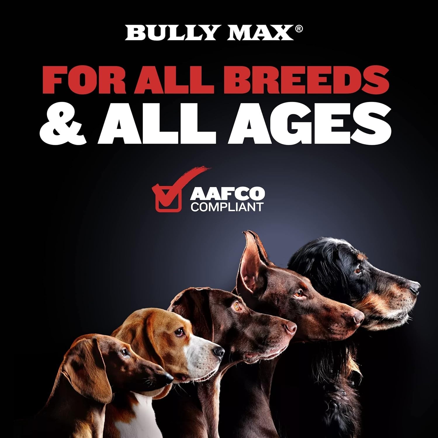 Bully Max 2-in-1 Muscle Builder Chewable Tablets for Dogs – Puppy & Dog Vitamins