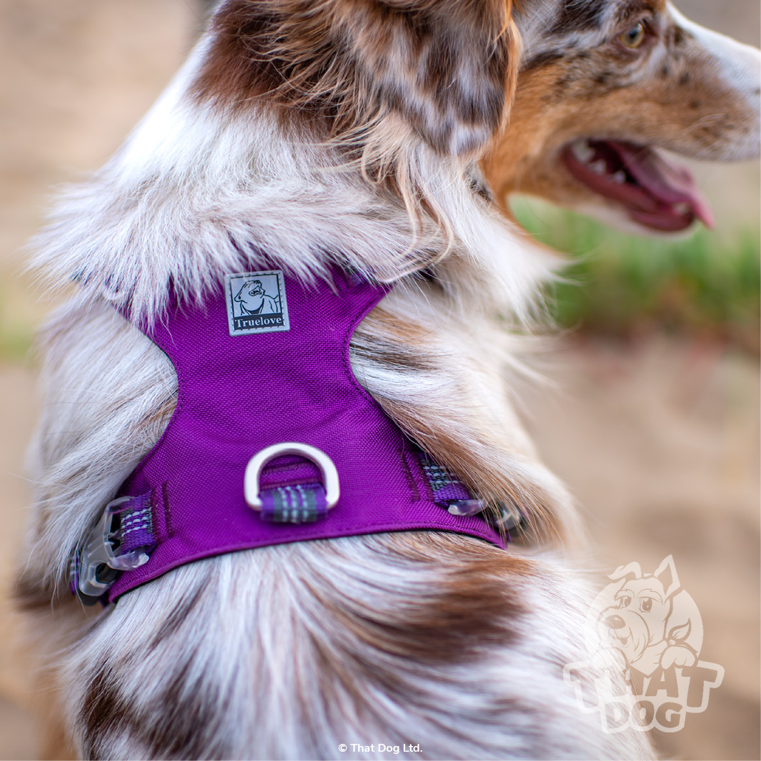 Dog Harness Truelove CORDURA Premium Lightweight Reflective XXS XS S M L XL