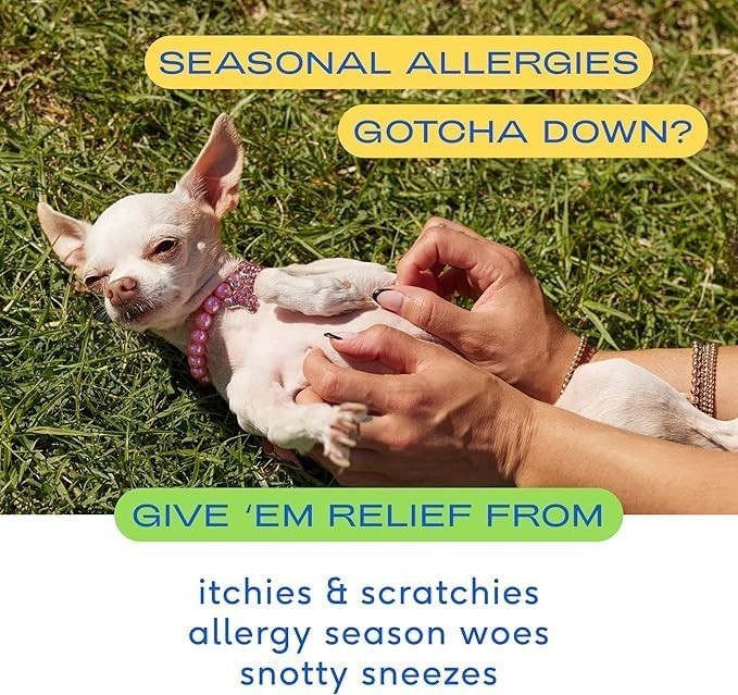 Native Pet Dog Allergy Chews 120ct | Itchy Skin & Allergy Relief | USA Natural
