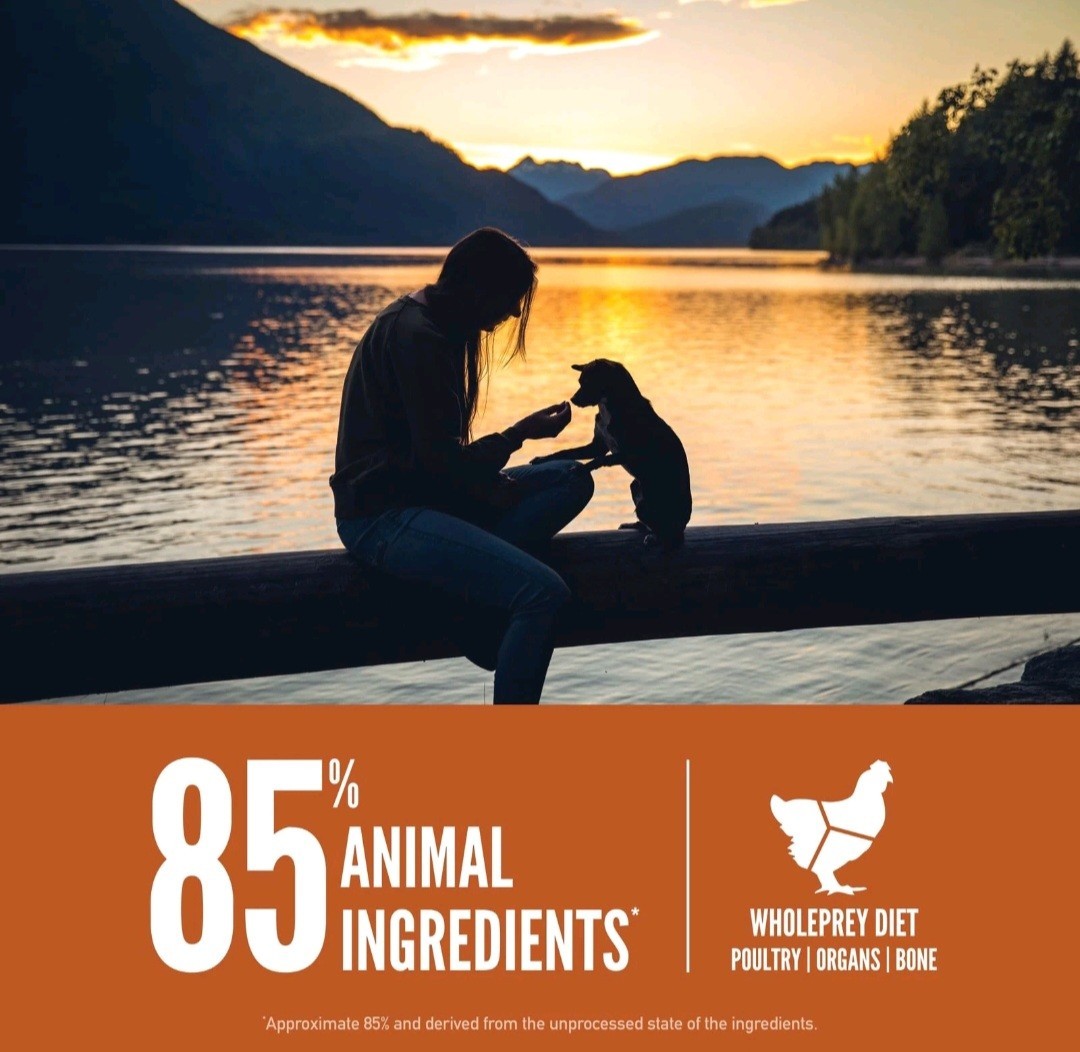 ORIJEN Grain Free High Protein Dry Dog Food Small Breed Puppy Recipe 4lb Bag