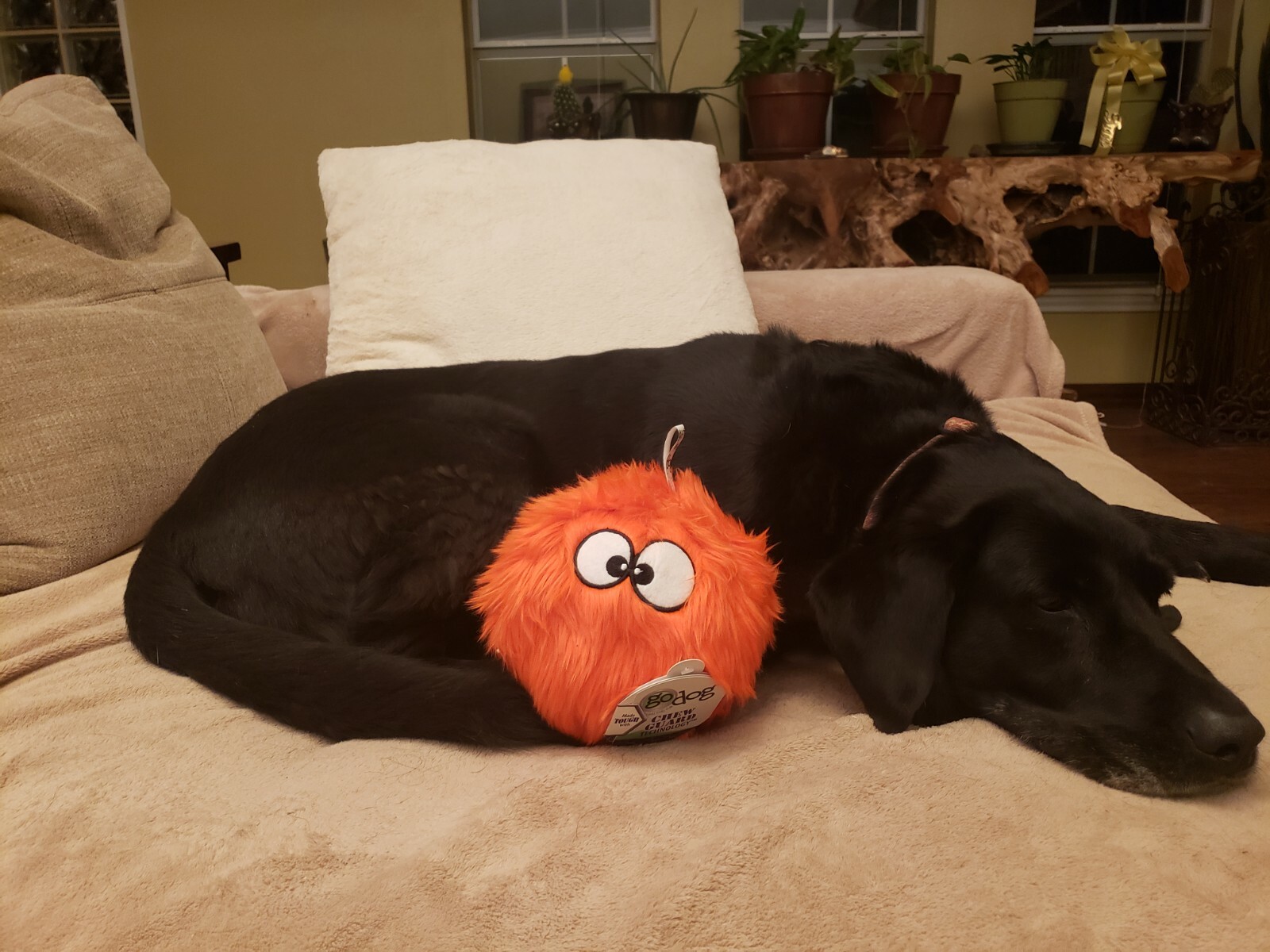 GoDog Furballz Tough Plush Dog Toy with Chew Guard Technology, Large, Orange