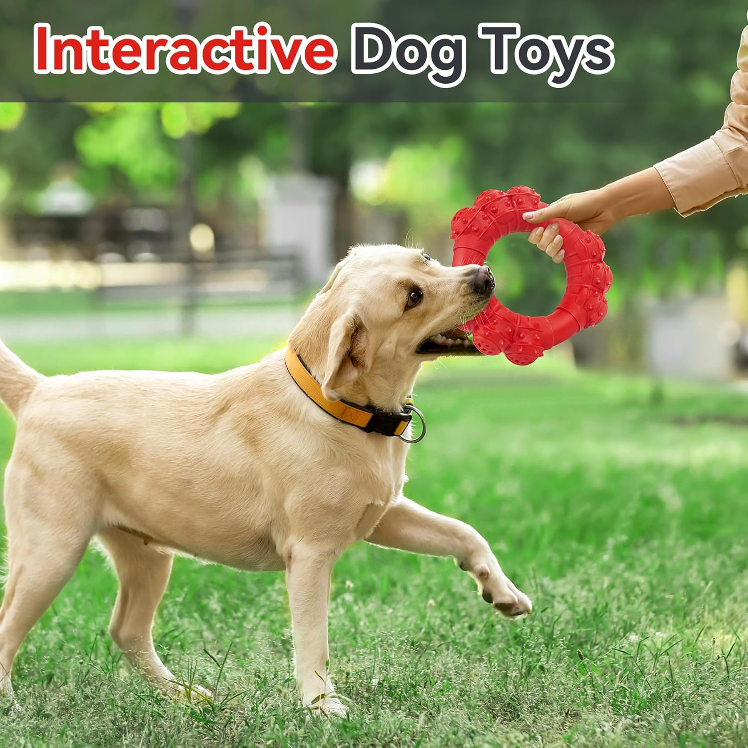 Indestructible Dog Chew Toys Aggressive Chewers Ring Heavy Duty Large Teething