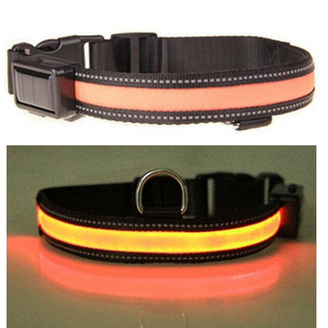 Nylon Dog Collar LED Solar Charging & USB Rechargeable Safety Glow 2 Light Modes