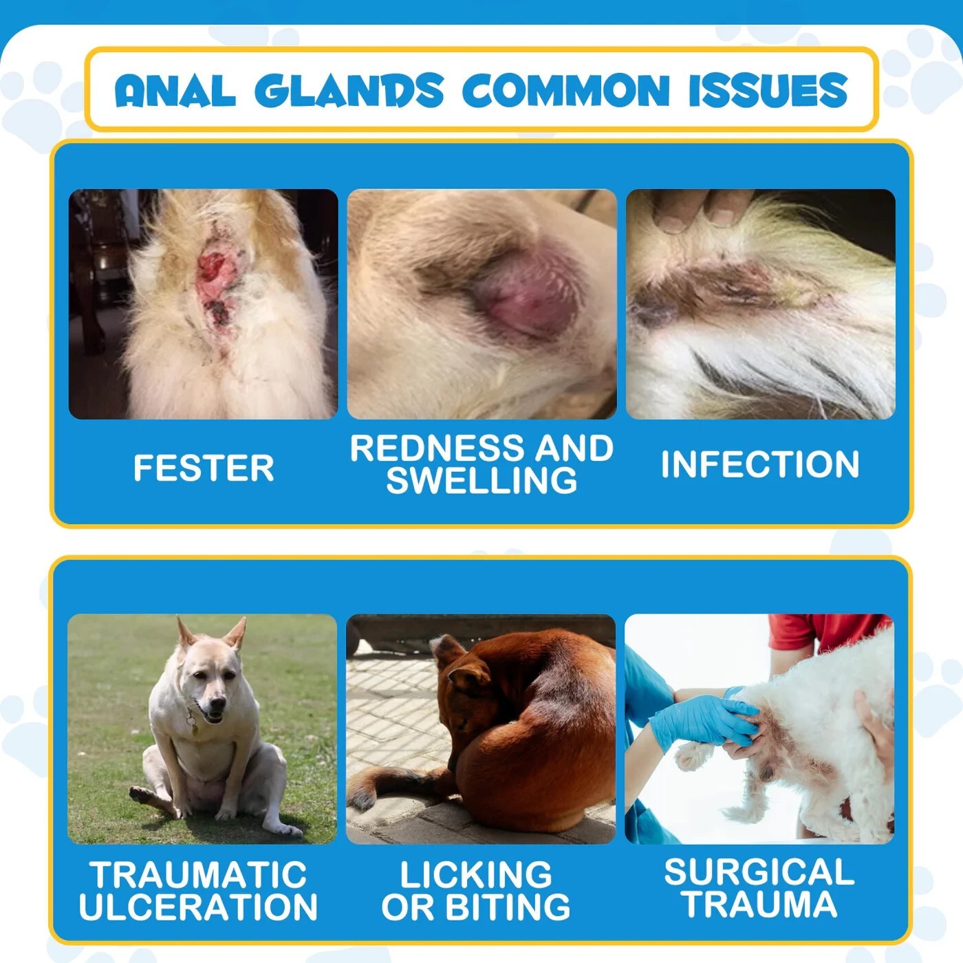 Dog Anal Gland Fast Pain Relieves & Soothes Itching, Anti-Itch Spray for Dogs