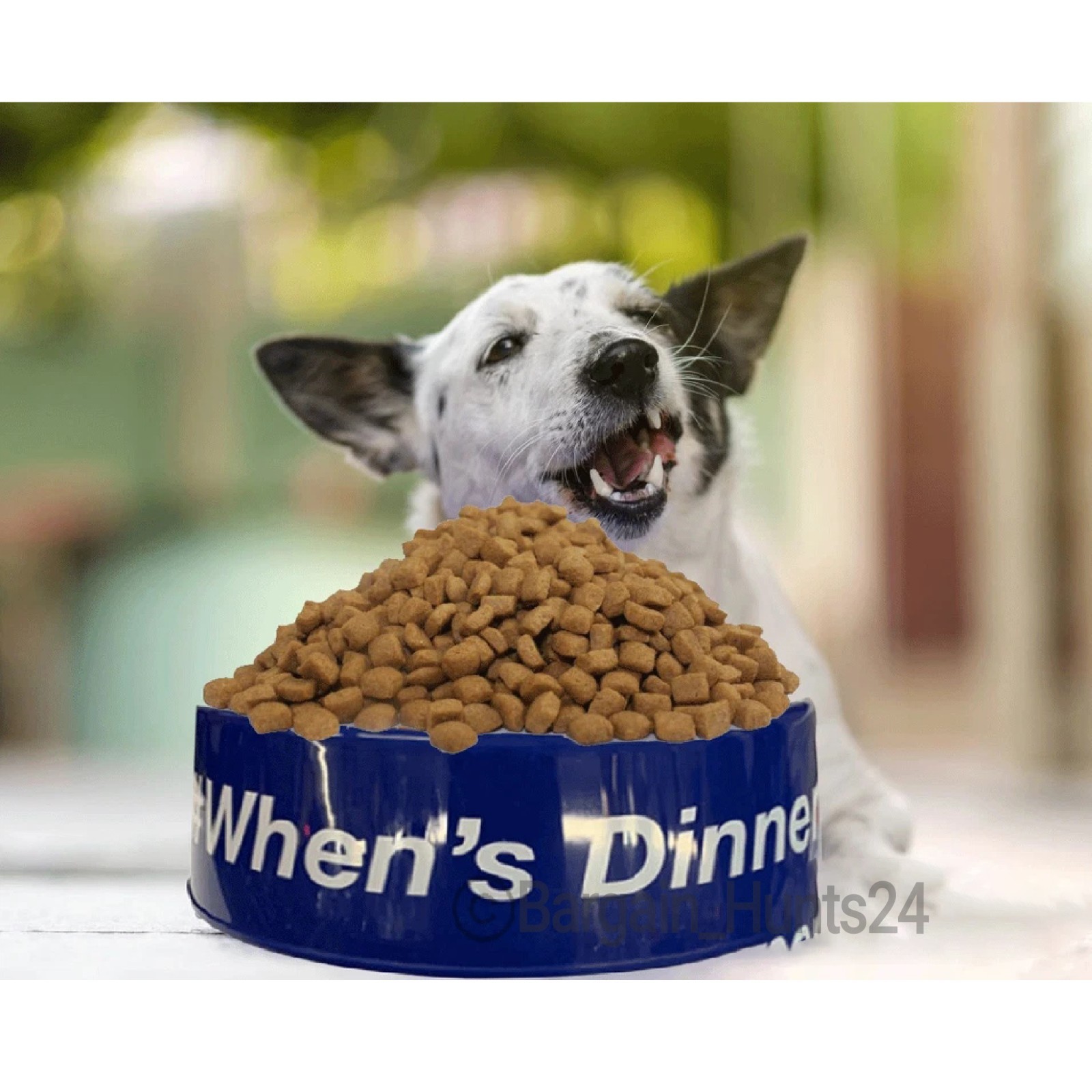 3Ct. Pet Dog Cat Food Feeding Water Dish Plastic Plate Bowl with Bones 9.75″
