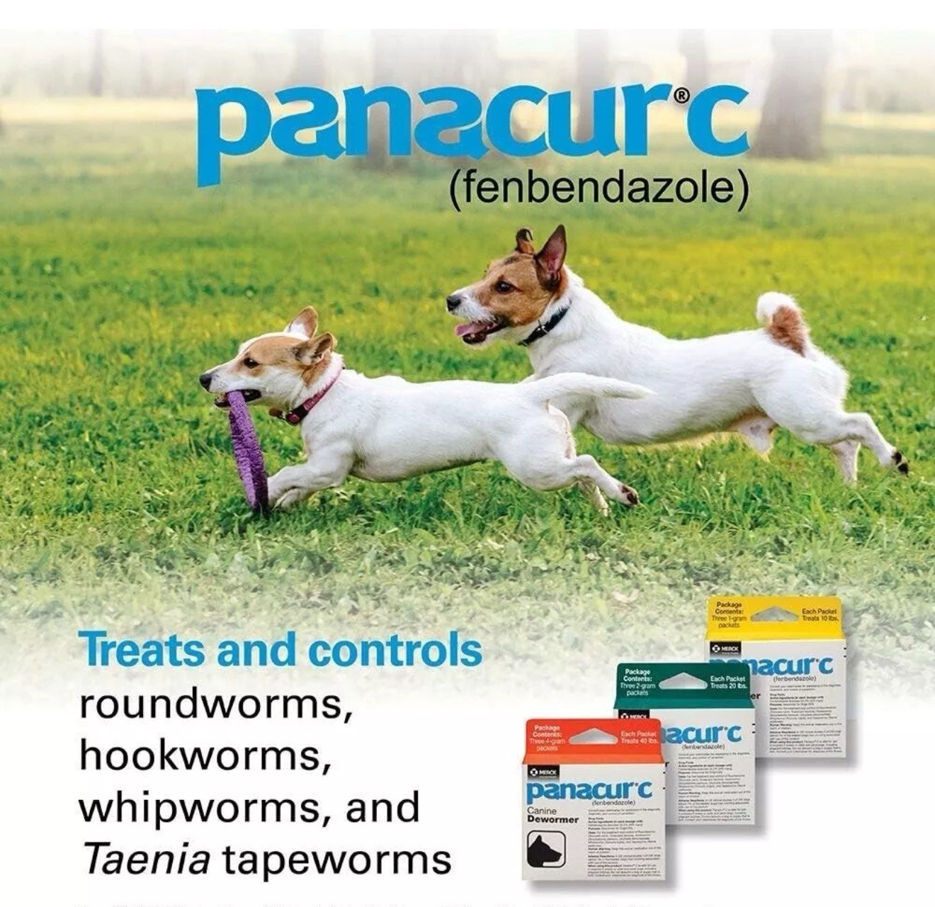 Panacur C 4 gram Canine Dewormer Treatment (3 packets) Exp. Date- 01/2027 NIP