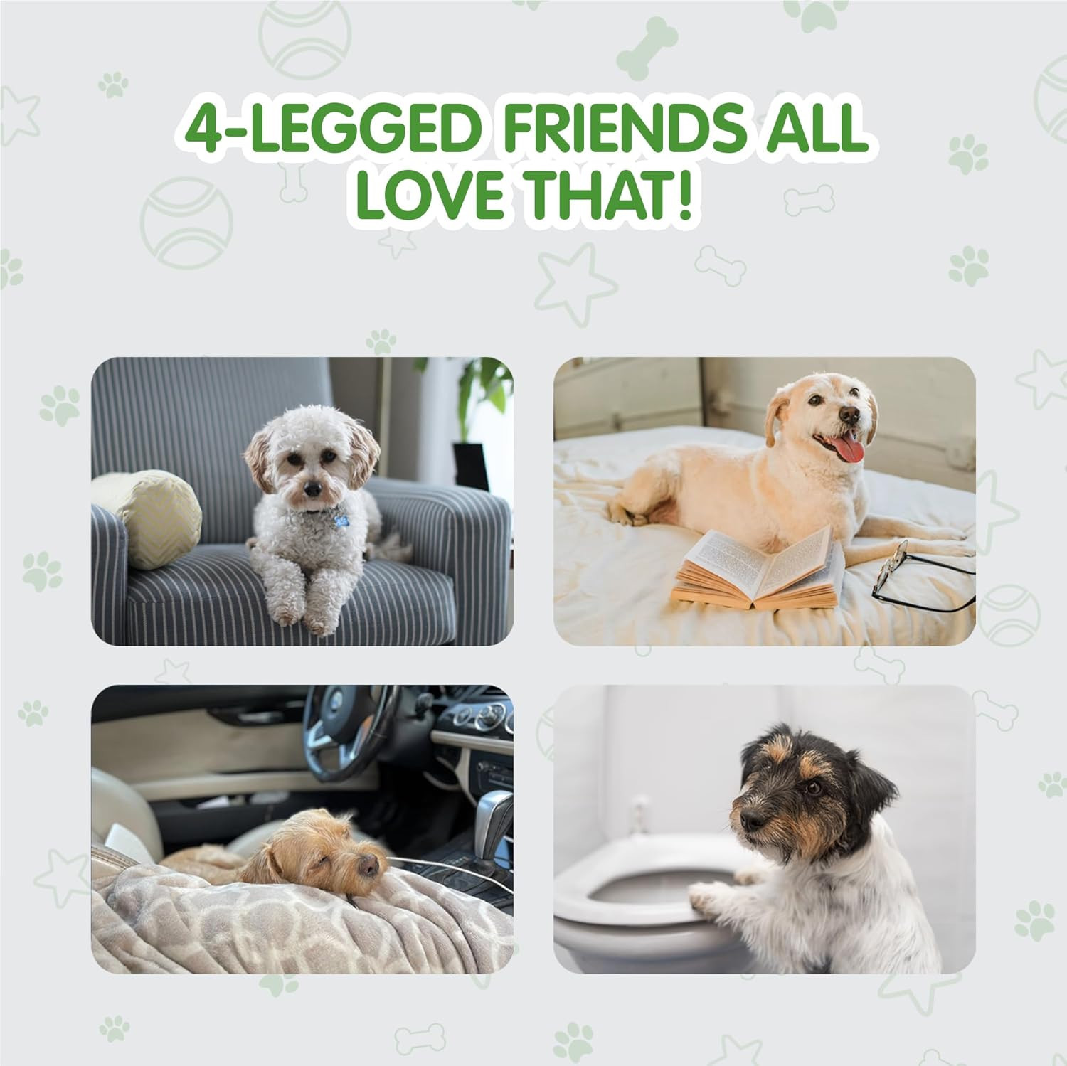 Best Value Dog Training Pads Size | Dog Pee Pads XXXL Size | Super Absorbent Pu