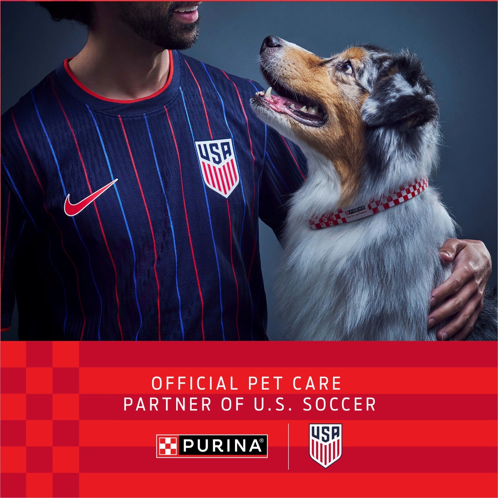 Purina Dog Chow Complete, Dry Dog Food for Adult Dogs High Protein, Real Chicken