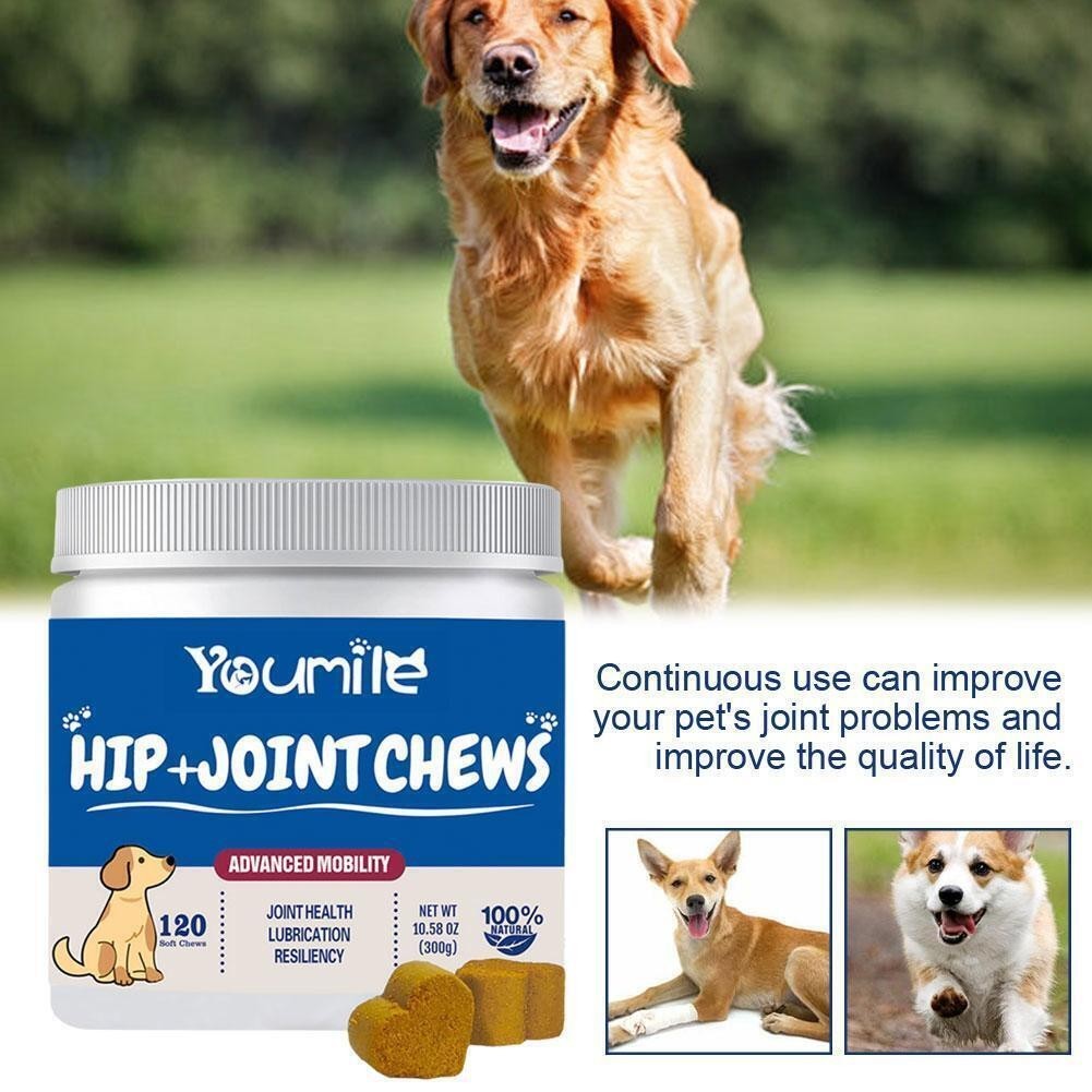 Joint Supplement, Dog in 1 CT Multivitamins and 120 Dog Supplements, Hip and 15