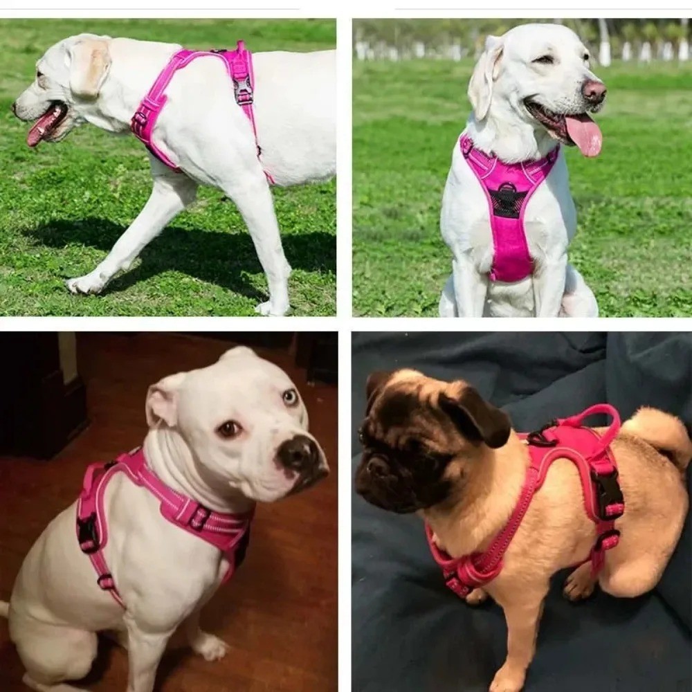 rabbitgoo Dog Harness with 2 Leash Clips No-Pull Reflective Vest for Large Dogs
