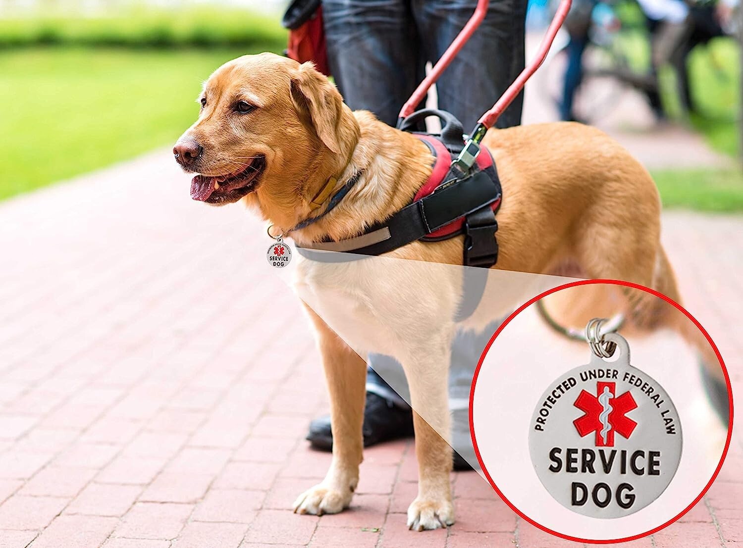 SM Service Dog Tag Double Sided Federal Protection with Red Medical Alert Symbol