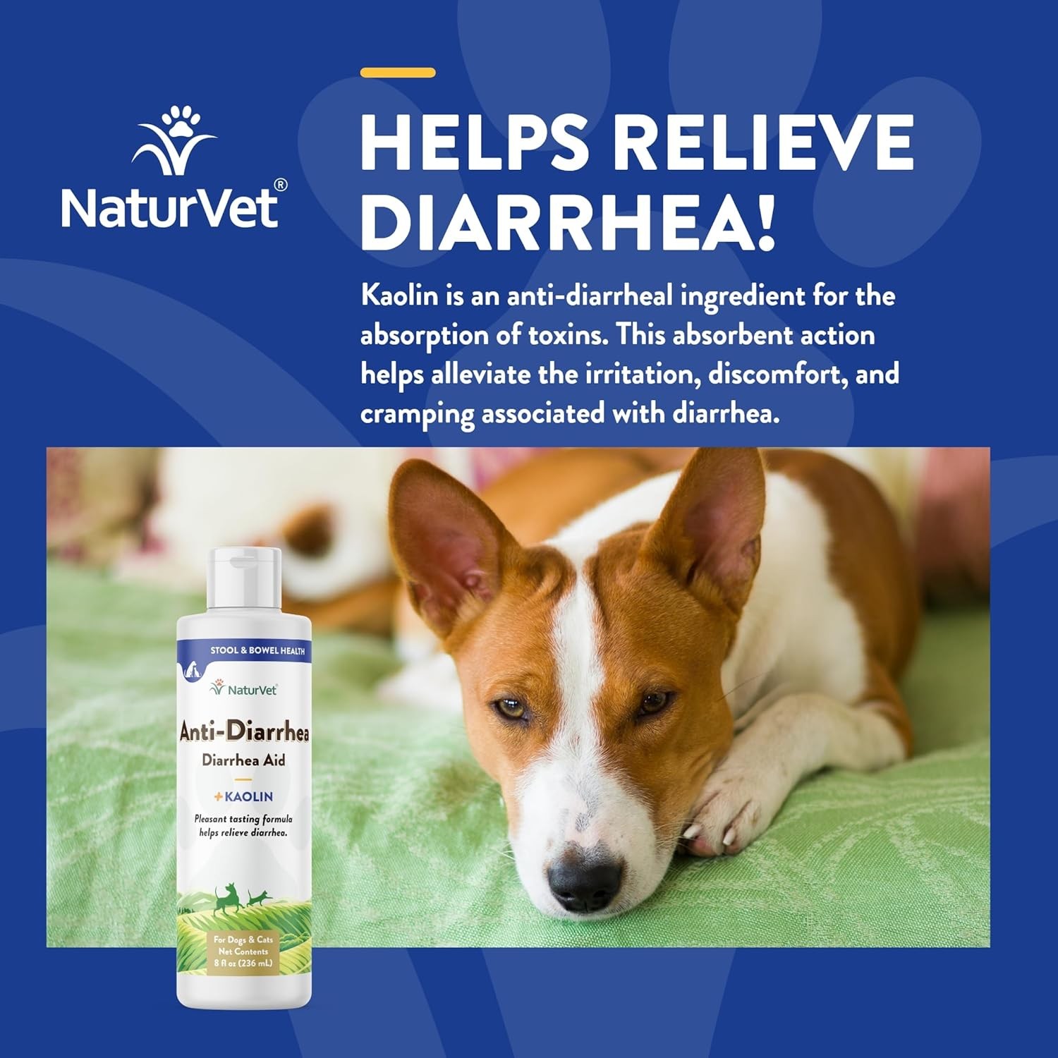 NaturVet Dog and Cat Anti Diarrhea Aid Kaolin Pectin Digestive Health 8 oz