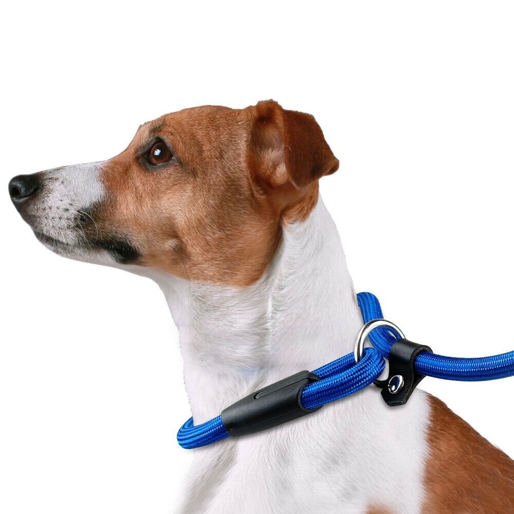 4ft Dog Nylon Adjustable Loop Slip Rope Leash Lead Training Choke Pet Collar USA
