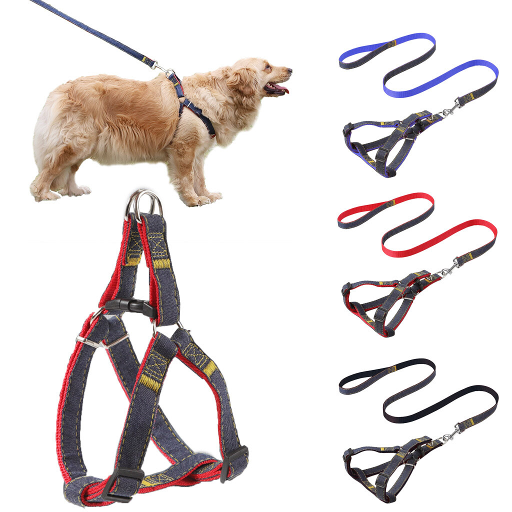 Small Dog Pet Puppy Harness And Leash Set Breathable Mesh Vest Chest Strap XS-XL