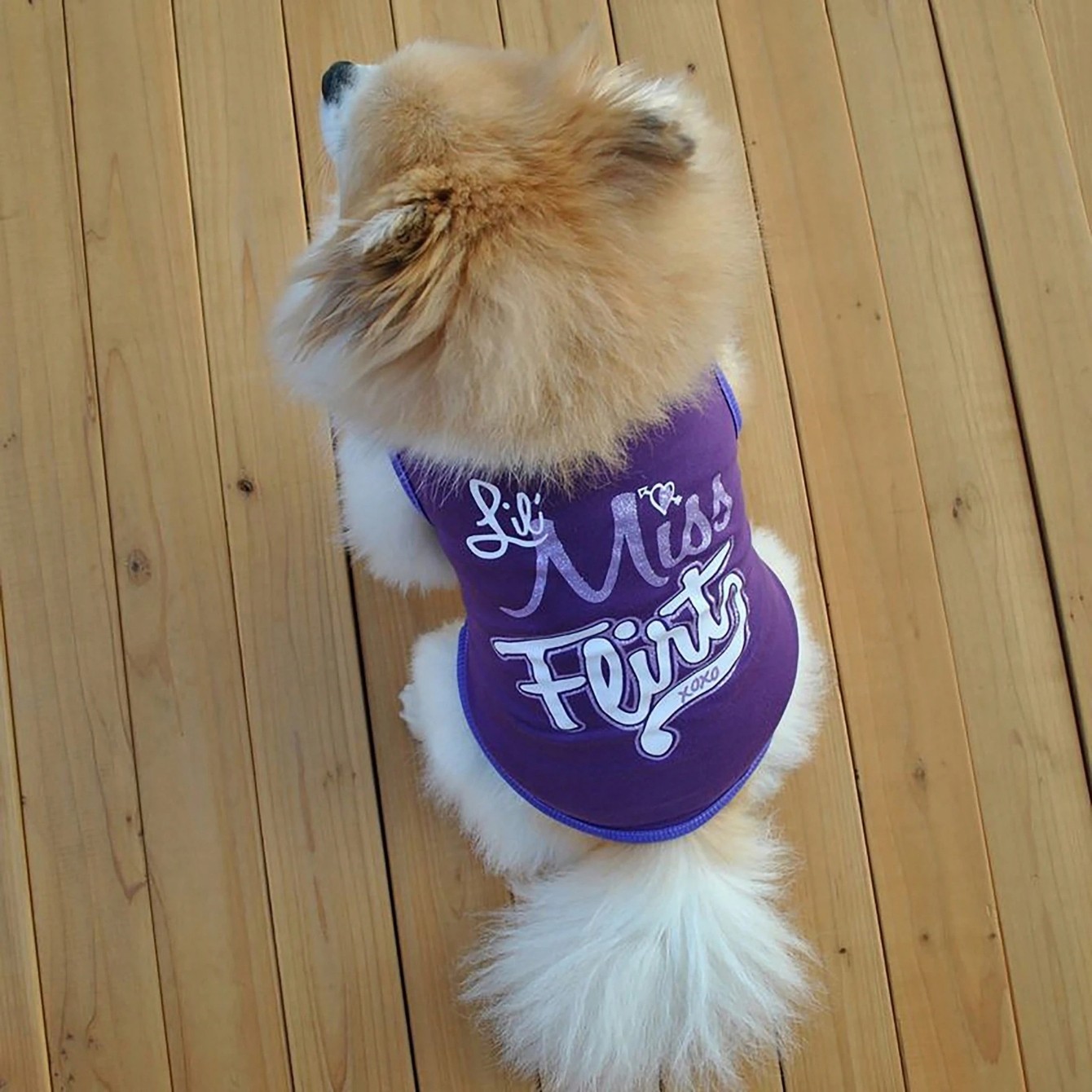 4PCS Puppy Pet Cat Small Vest TShirt Coat Dog Clothes Apparel Thin Shirt Costume