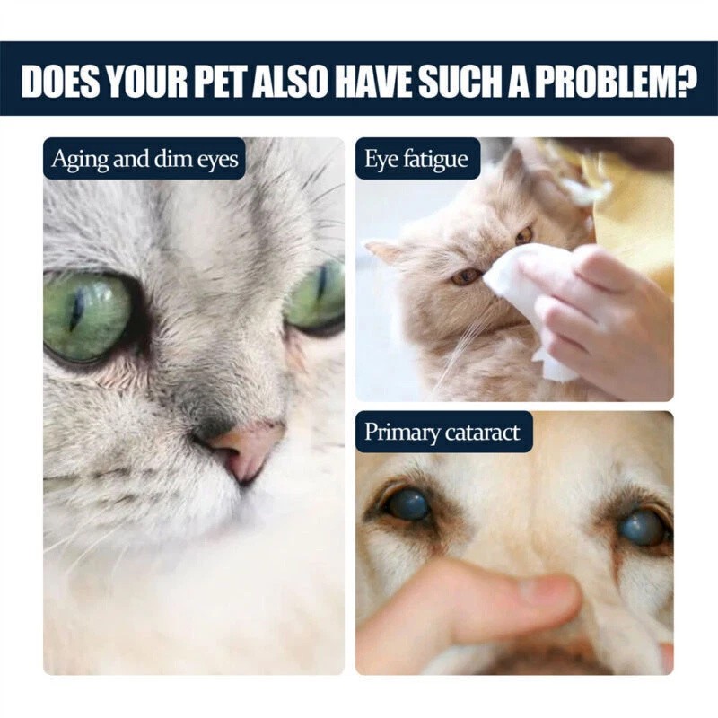 Cataract Drops for Dogs,Dog Eye Drops,Improve Vision Clarity,Improve Eye Visi