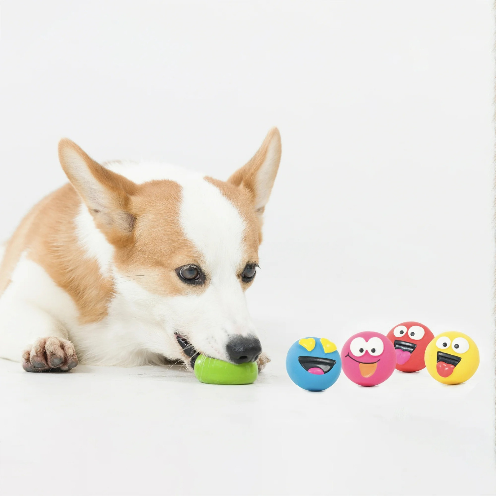 (2 pack) Vibrant Life 5pk EMOTICON LATEX DOG TOY,Comfort Squeak