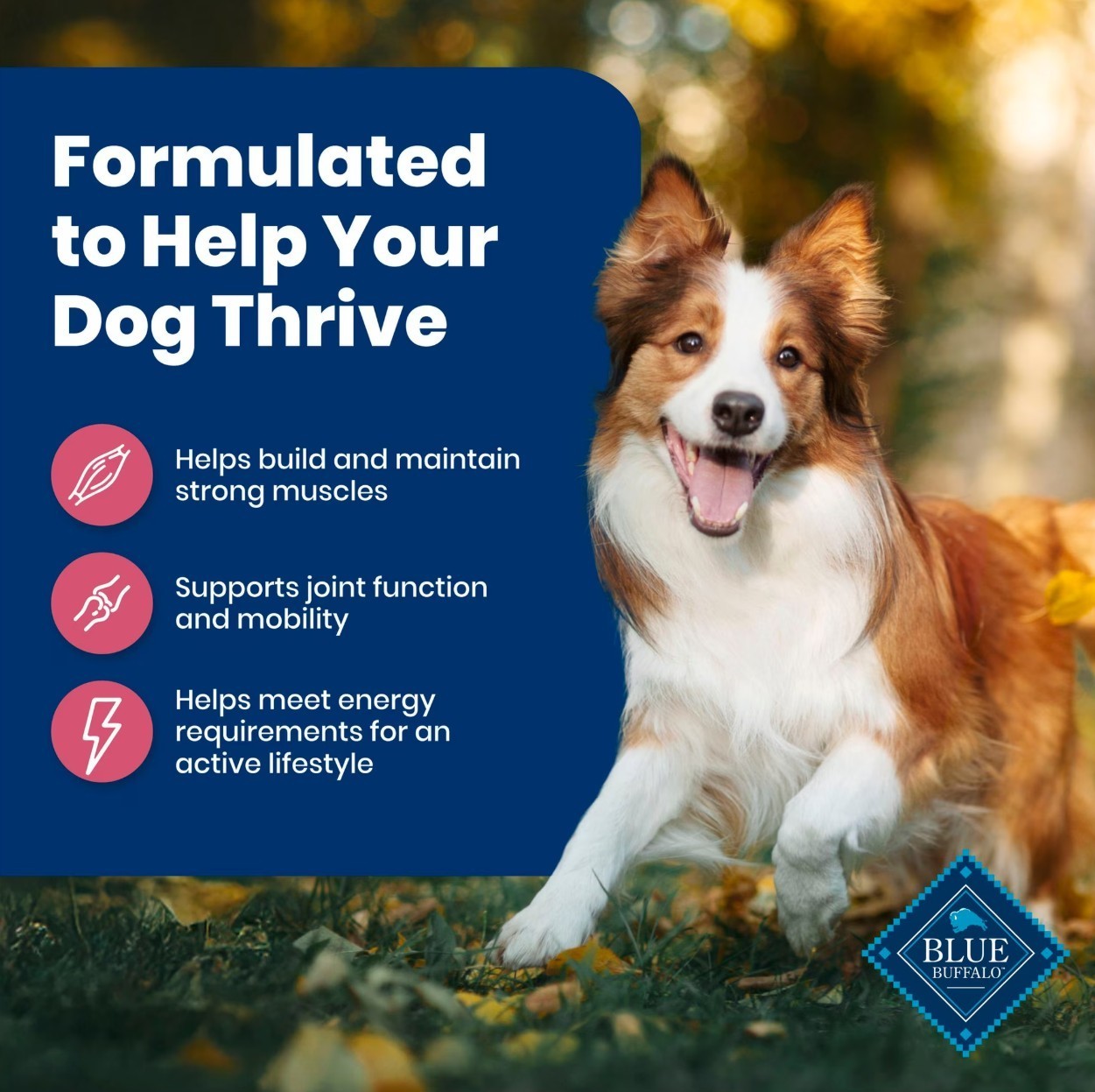 Blue Buffalo Life Protection Formula Adult Dry Dog Food, Salmon, Chicken Free,15