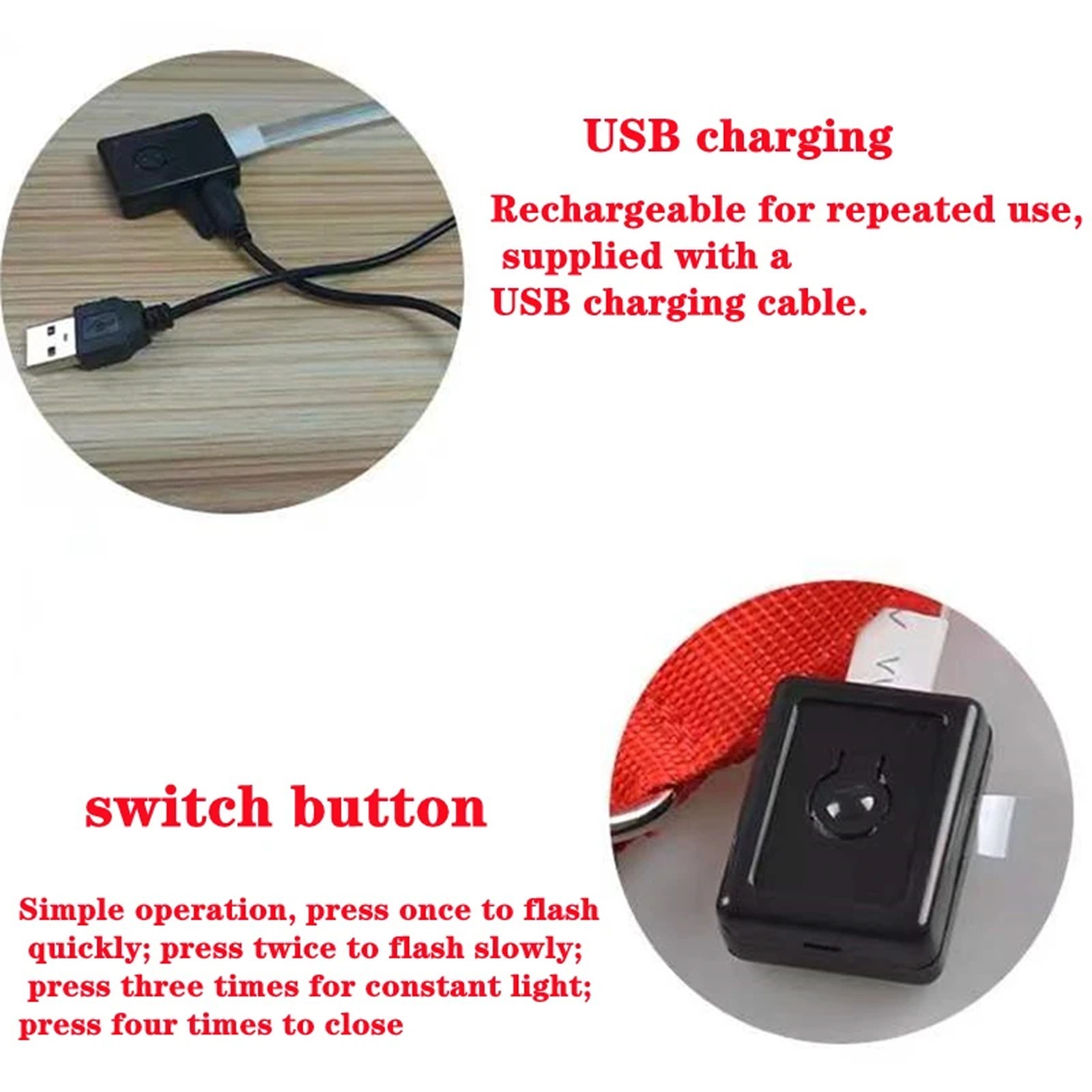 USB Rechargeable LED Dog Collar w/ Pendant – Glowing Safety for Small Dogs & Cat