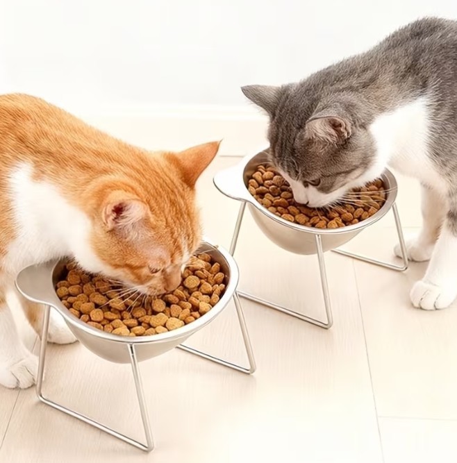 Pet Feeding Bowls. Set of 2. (Large, Small, Plastic or Elevated). FREE SHIPPING!