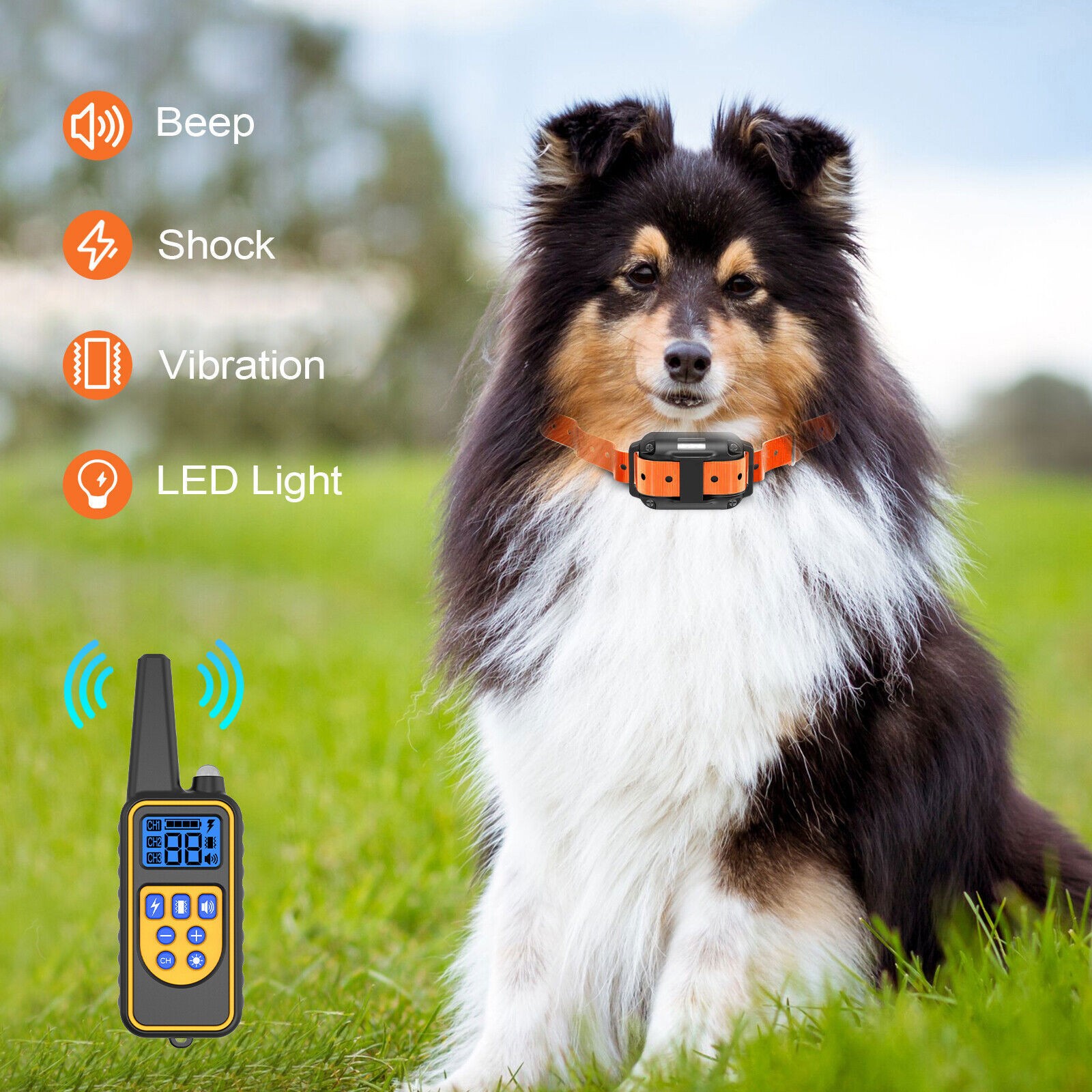 3000 FT Dog Training US Collar Rechargeable Remote Shock PET Waterproof Trainer
