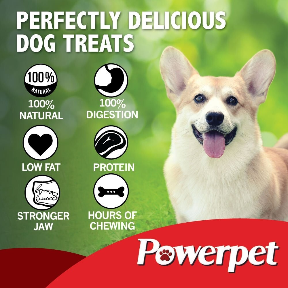 Bully Sticks 12″ 100% Natural Dog Chews & Treats, BRC Certified