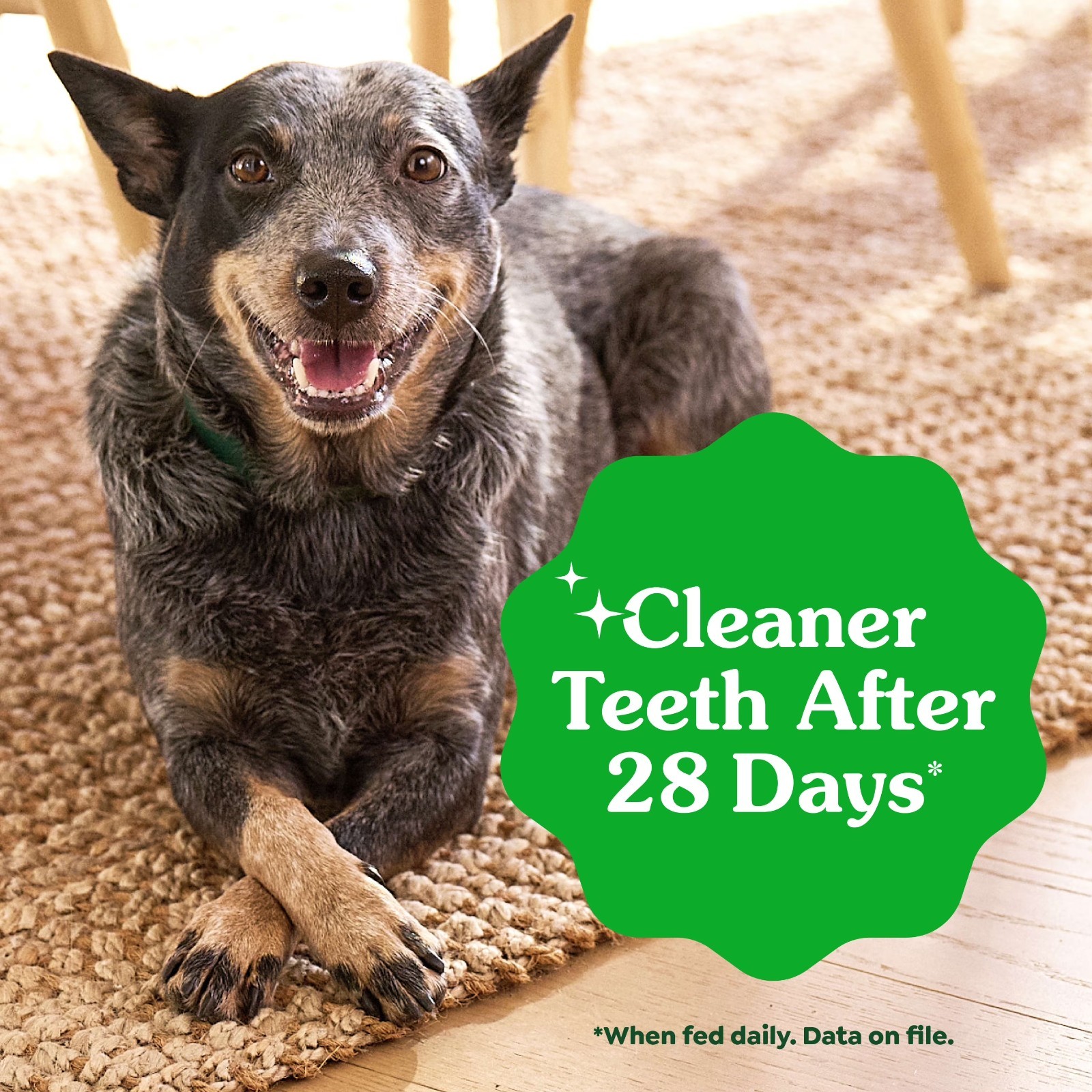 Greenies Original Petite Dental Dog Treats for Adult Dogs, 36 oz Bag, 60 Count