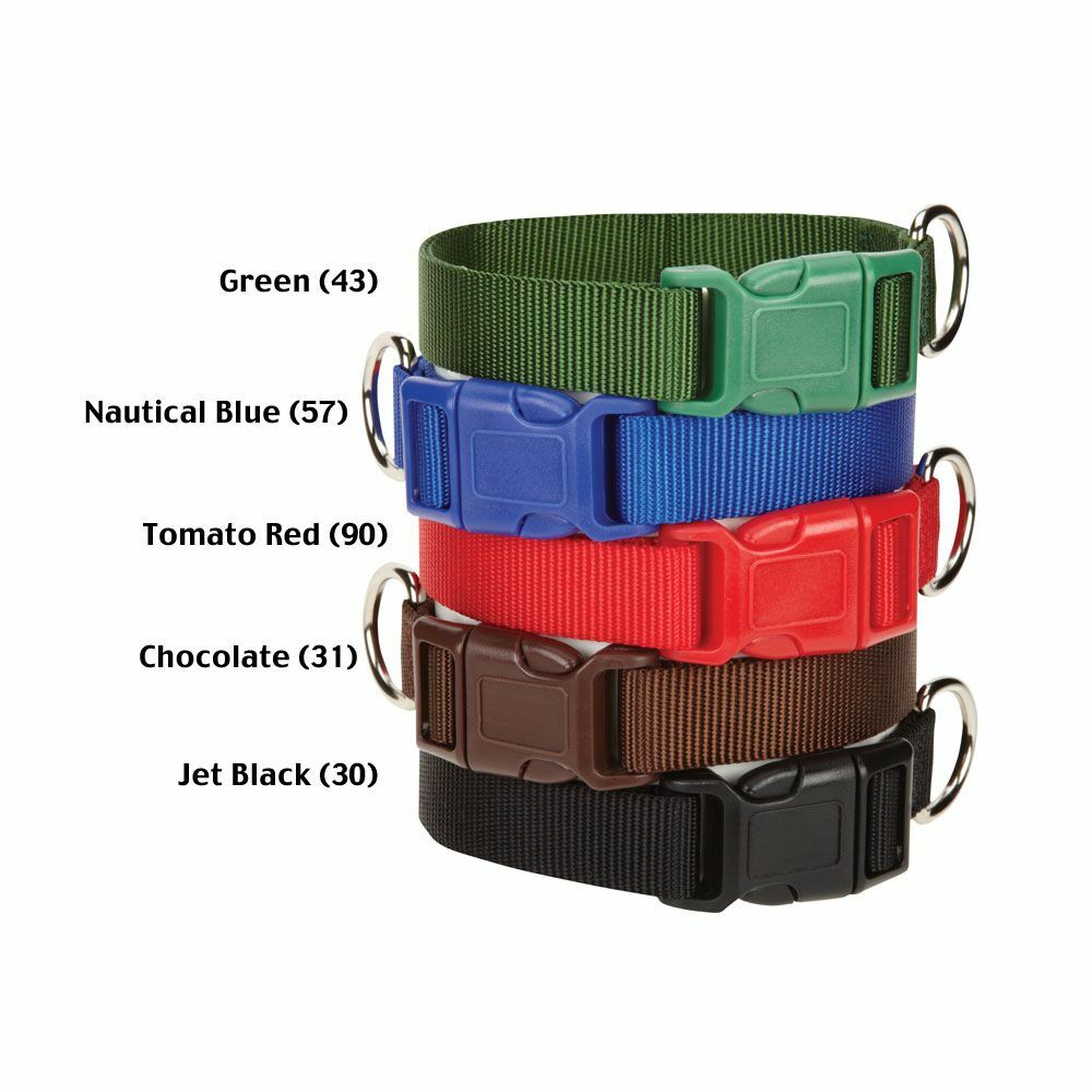 Casual Canine Nylon Dog Collar w Quick Release Buckle XS S M L 11 Colors