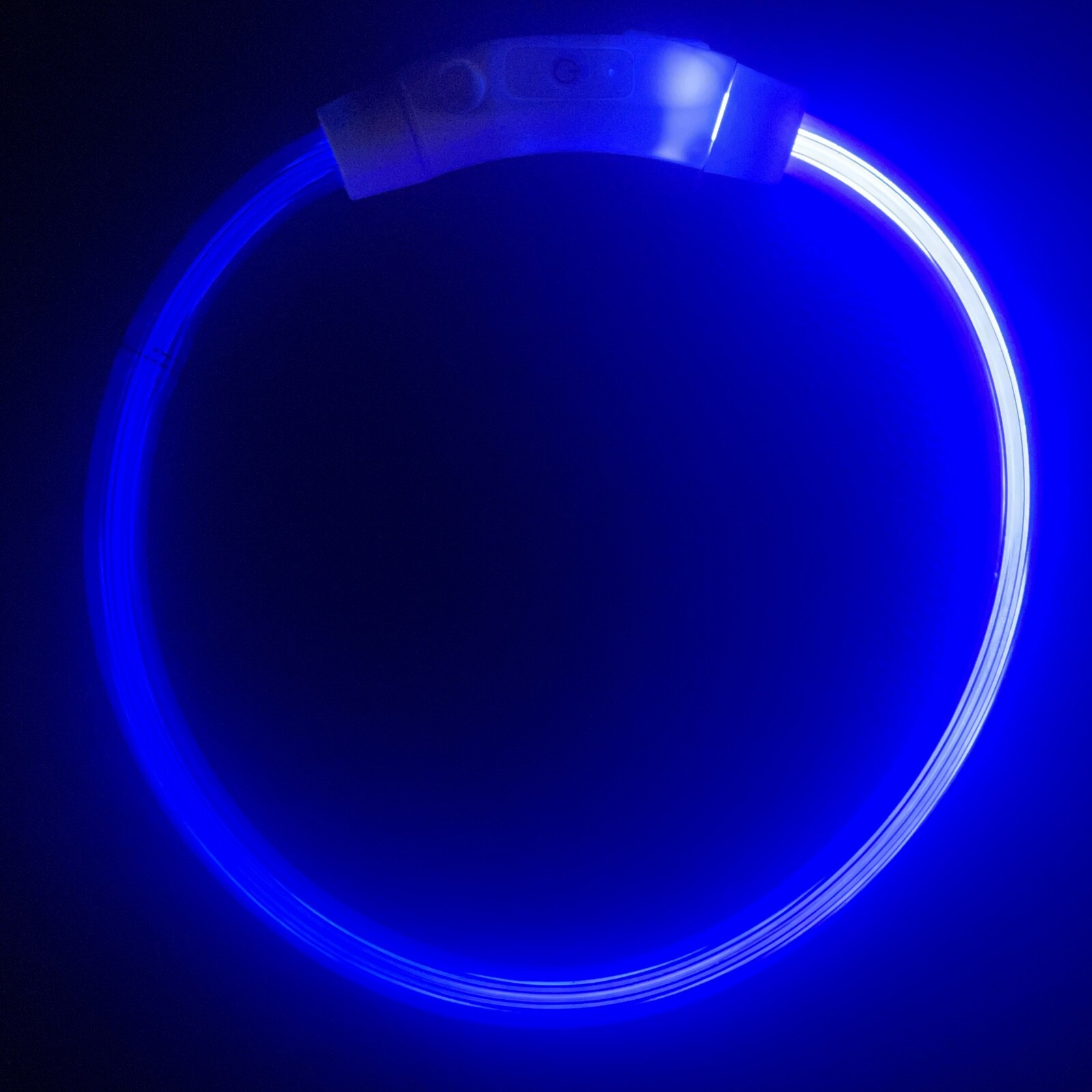 LED Dog Collar (One Size Fits All) USB Rechargeable Light Up Dog Night Safety