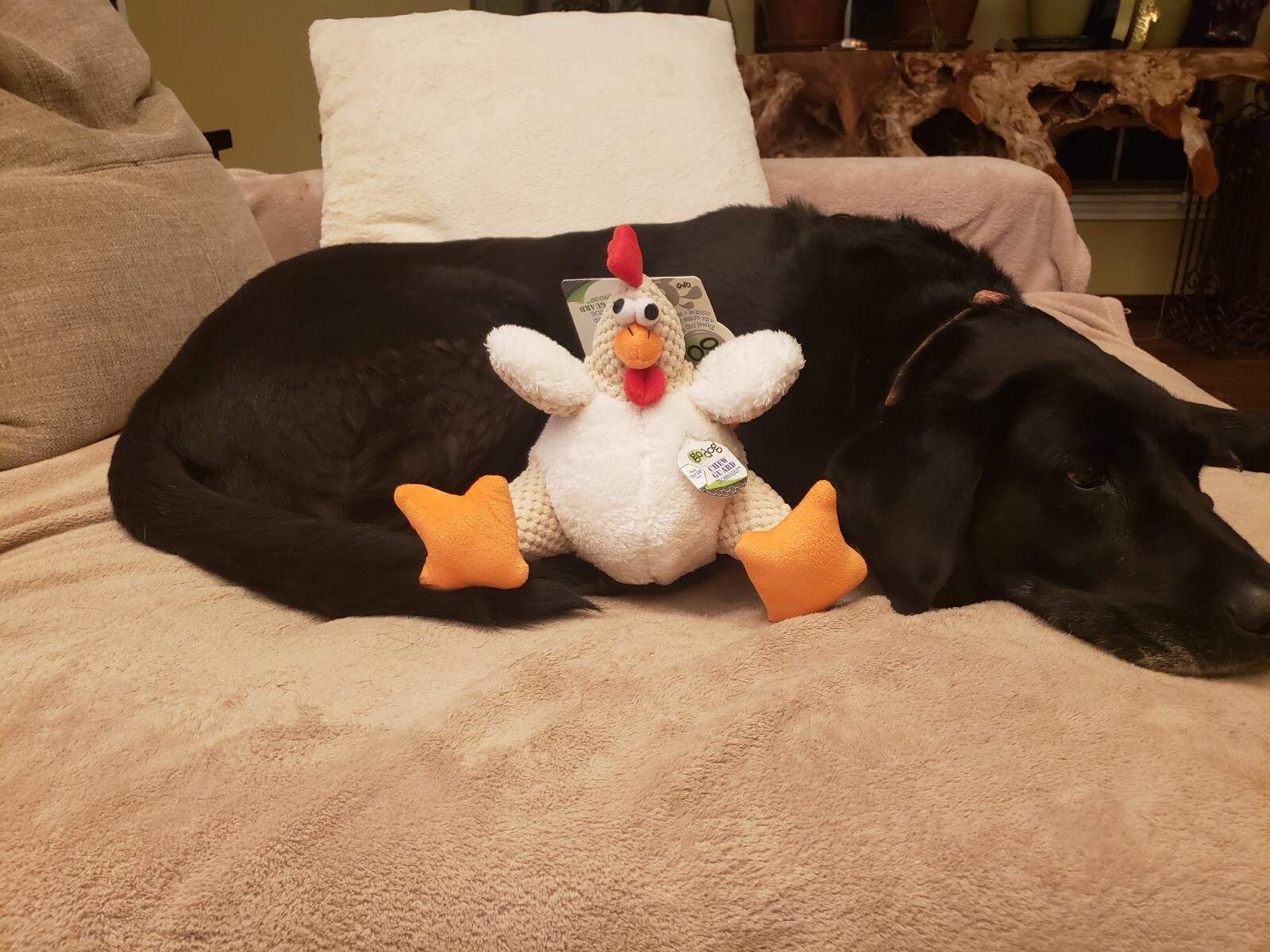 goDog Checkers Large Fat Rooster Chew Guard Squeaker Plush Dog Toy 770882