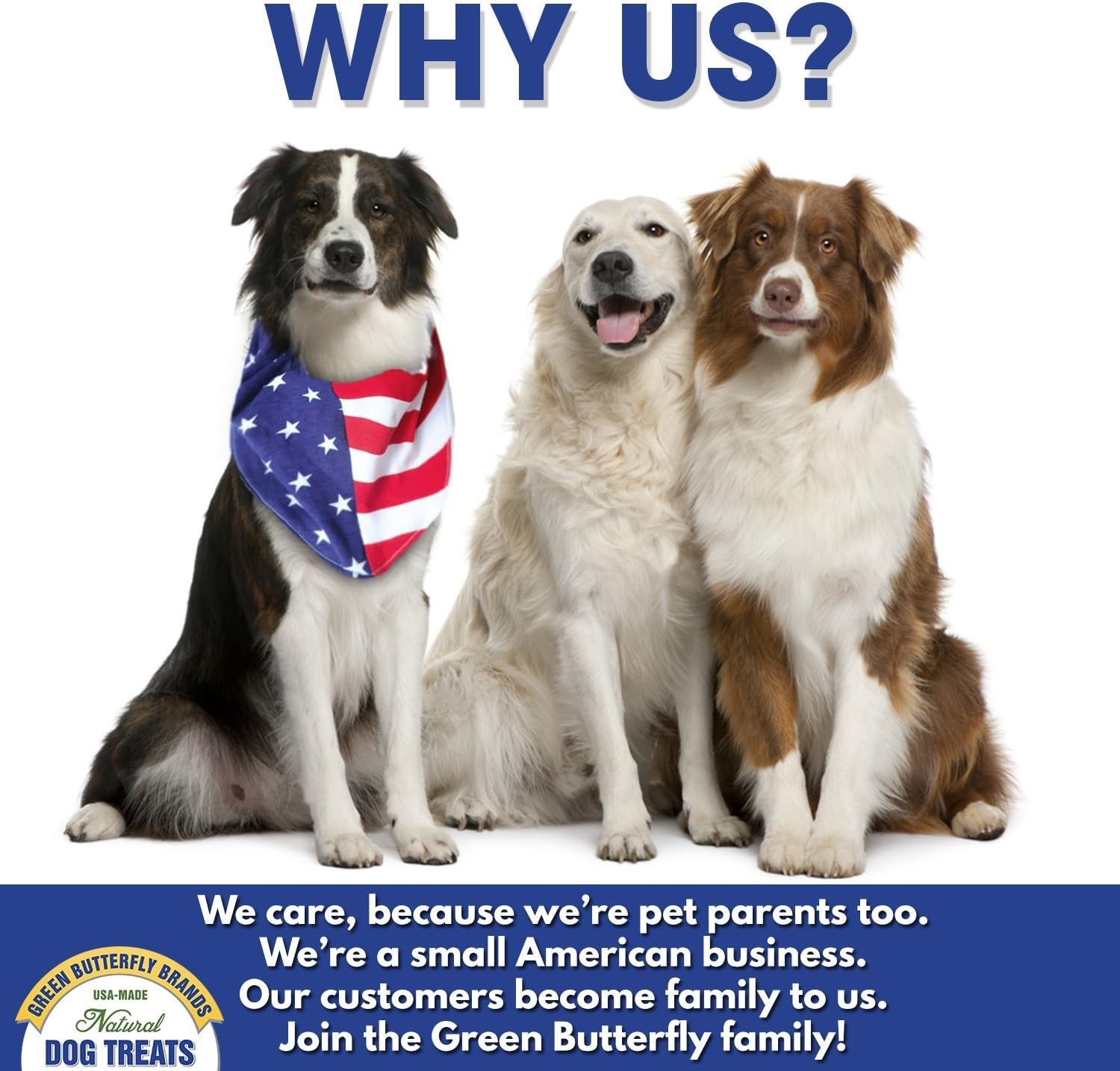 Beef Dog Treats – Made in USA Only – All Natural, Meaty Beef Tips – Premiu