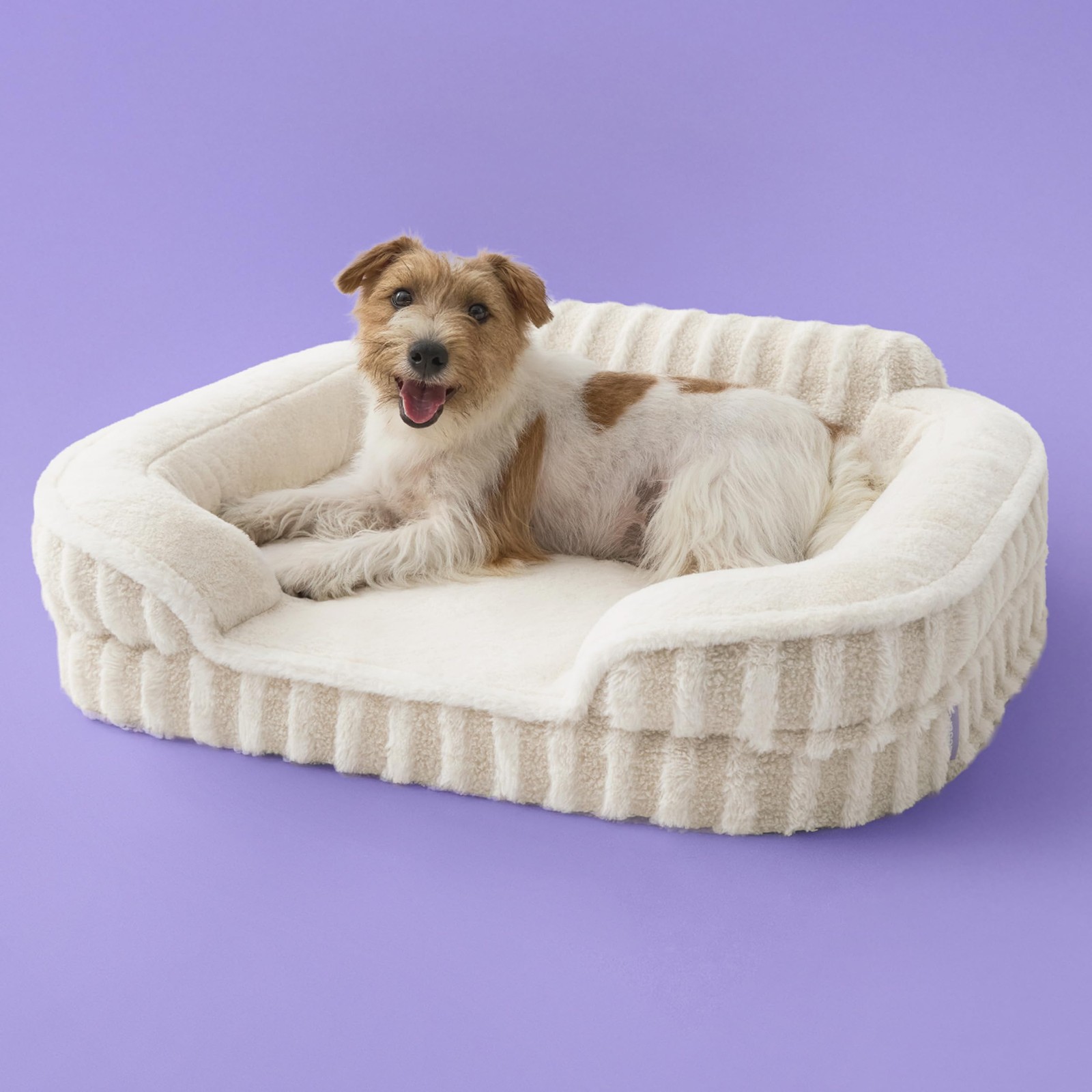 Orthopedic Medium Dog Bed Waterproof Washable Cover NonSlip High Back Beige
