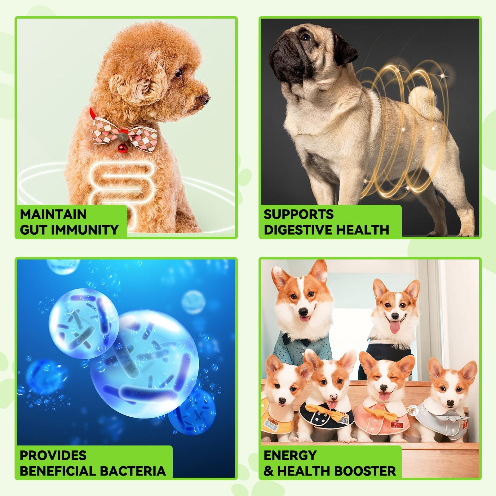 Probiotics for Dogs, 3 in 1 Dog Probiotic and Digestive Enzymes for Pet, Supp…