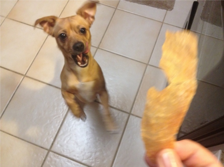 Natural Chicken Jerky Dog Treats – 100% Chicken, Made In USA, No Chemicals!!