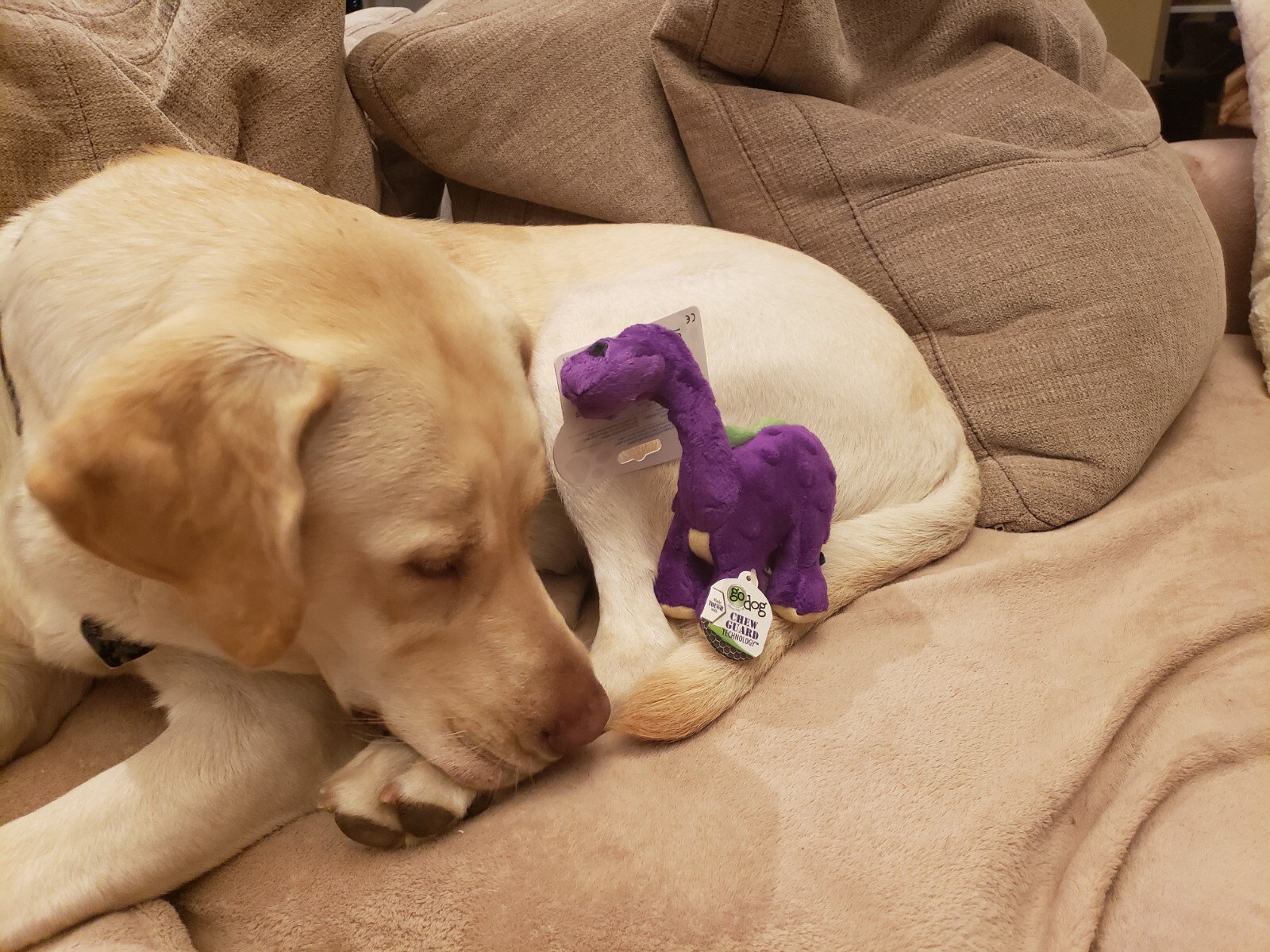 goDog Dinos Bruto Brontosaurus Small Chew Guard Squeaker Plush Dog Toy 770961