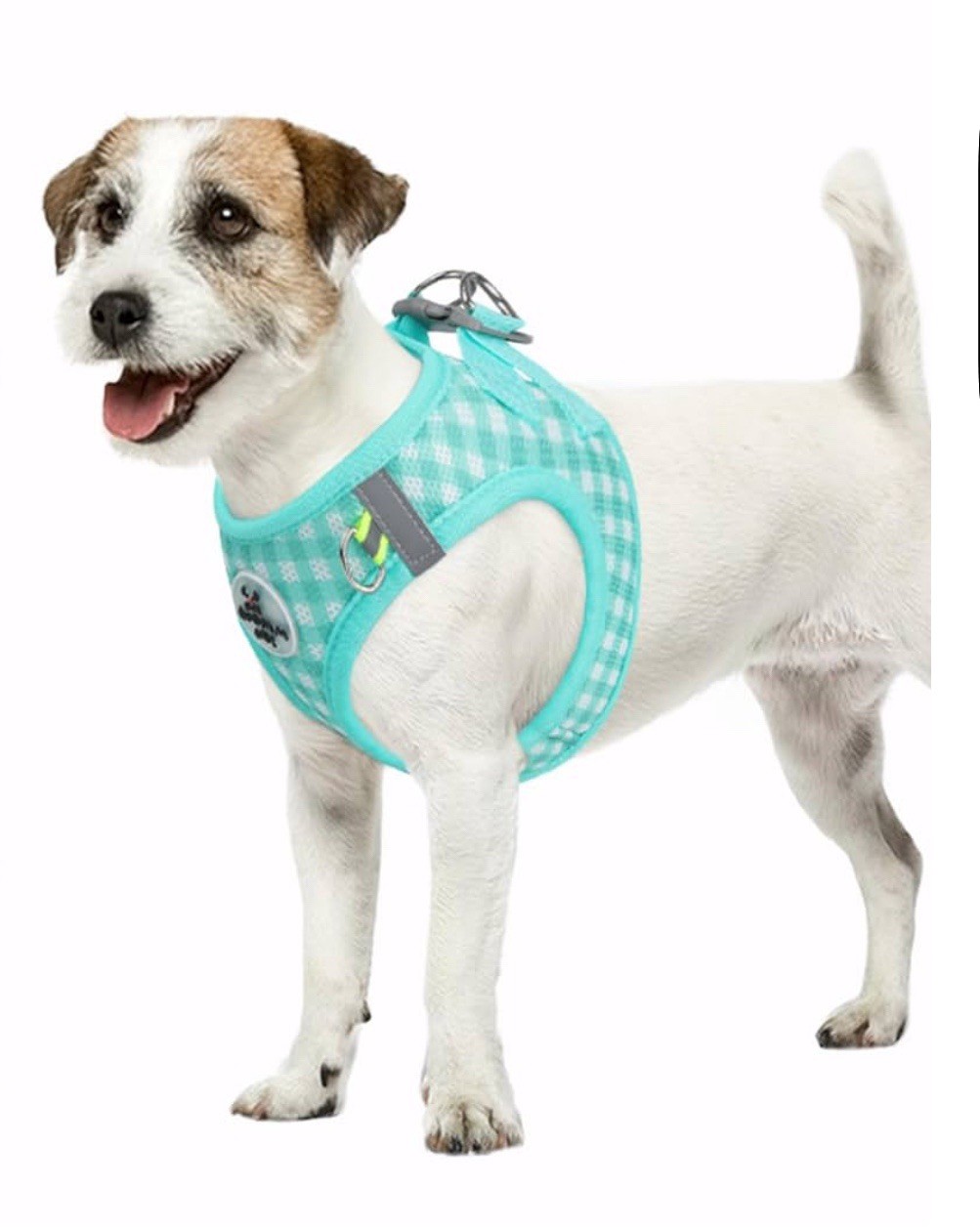 Xtra Small Duomm Pet Harness and Leash