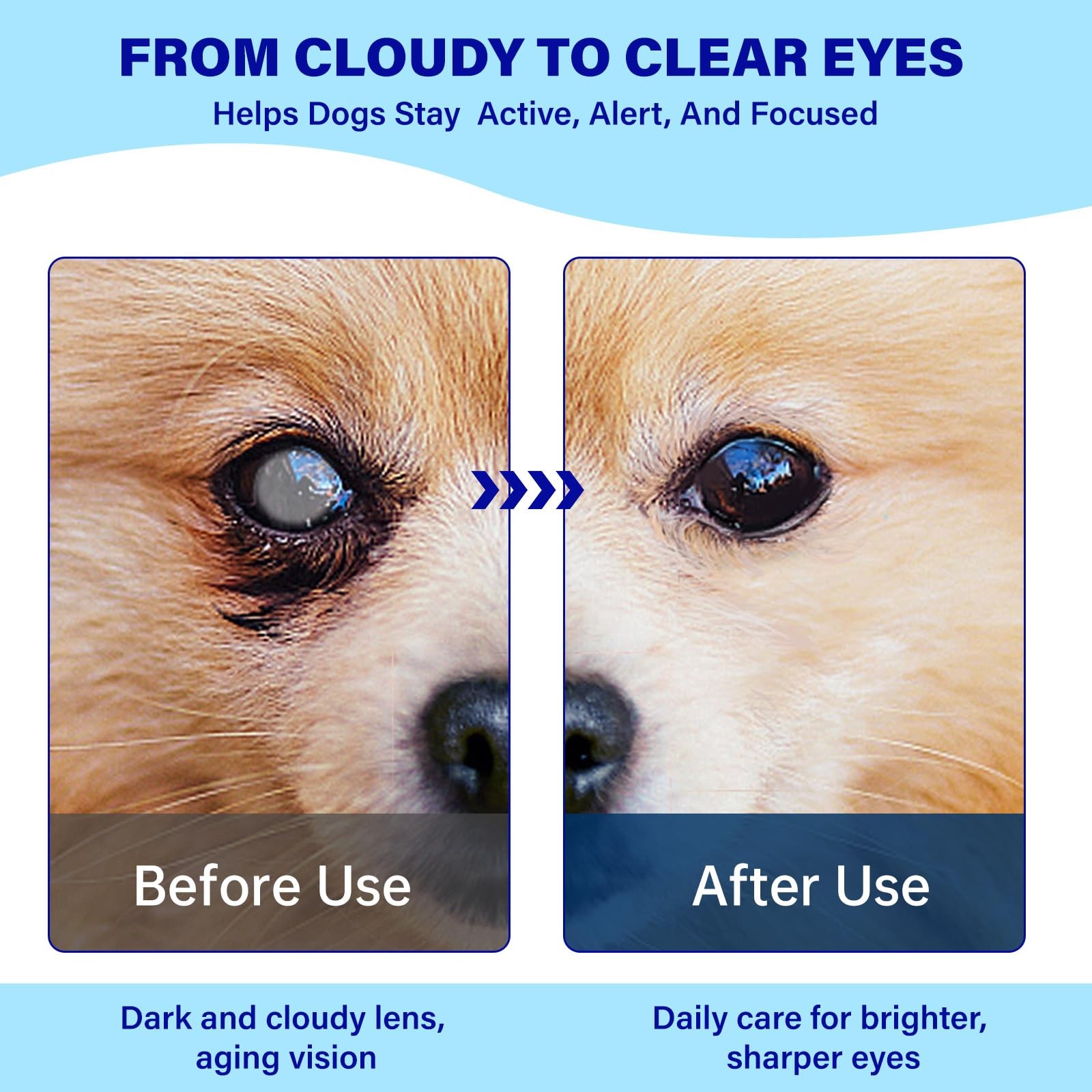Eye Supplements for Dogs – Vision Support Soft Chews with 90 Ct, White