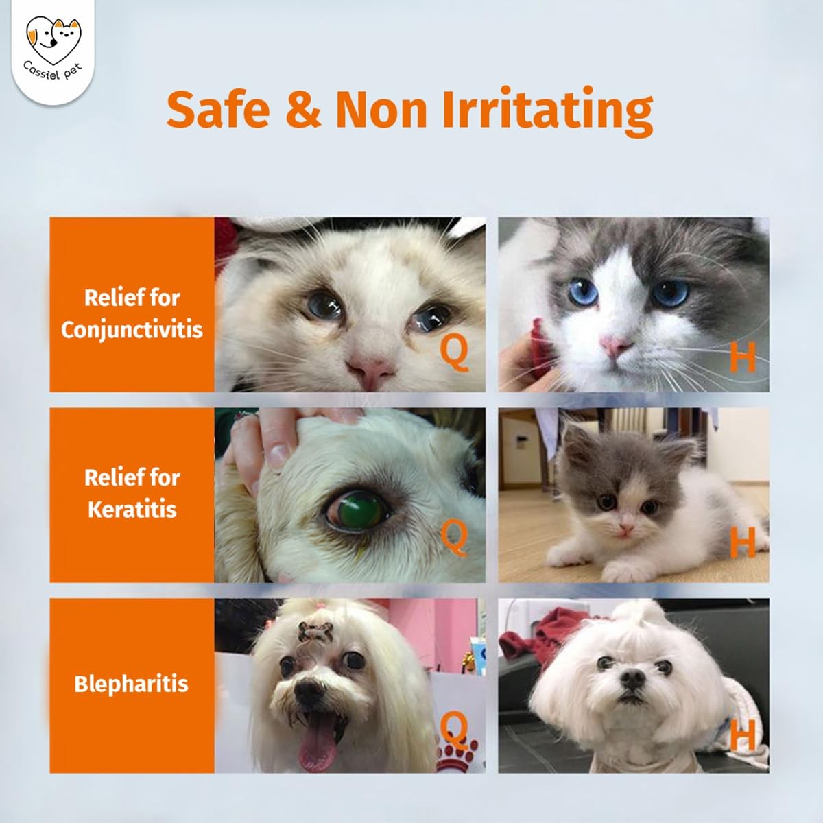 Cassiel pet Eye Drops for Infection Treatment, Soothe 1 Bottle, colorless