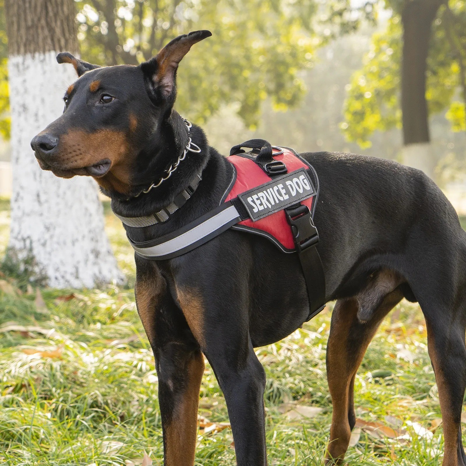 Reflective Service Dog Vest Harness, Woven Nylon with Adjustable Straps XS-XXL