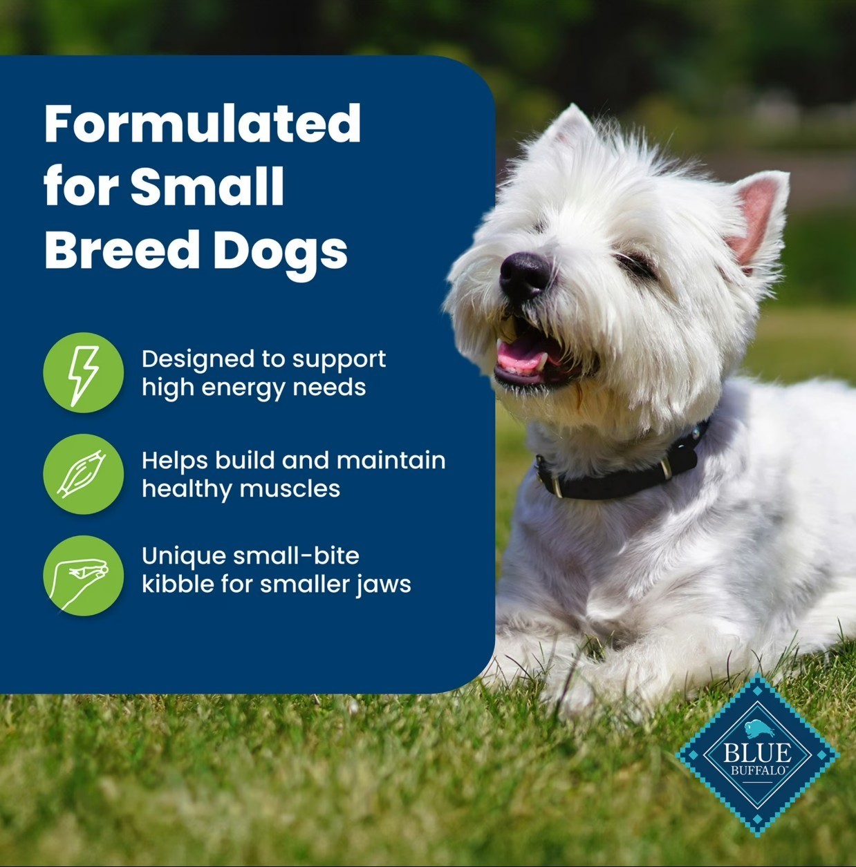Blue Buffalo Life Protection Formula Small Breed Dry Dog Food , 15 lbs
