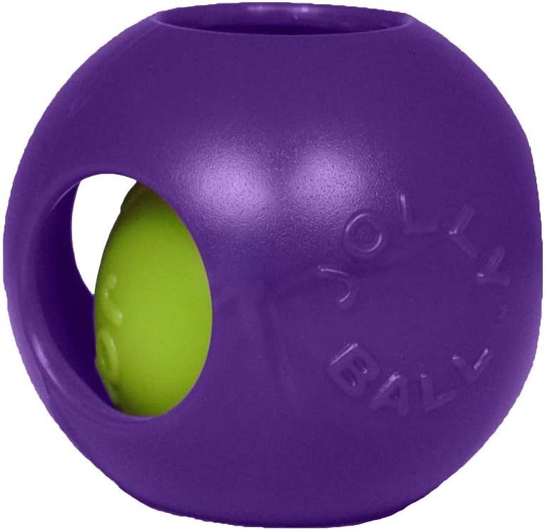 Jolly Pets Teaser Ball Extra-Large Purple Hard Durable Plastic 10-inch Dog Toy