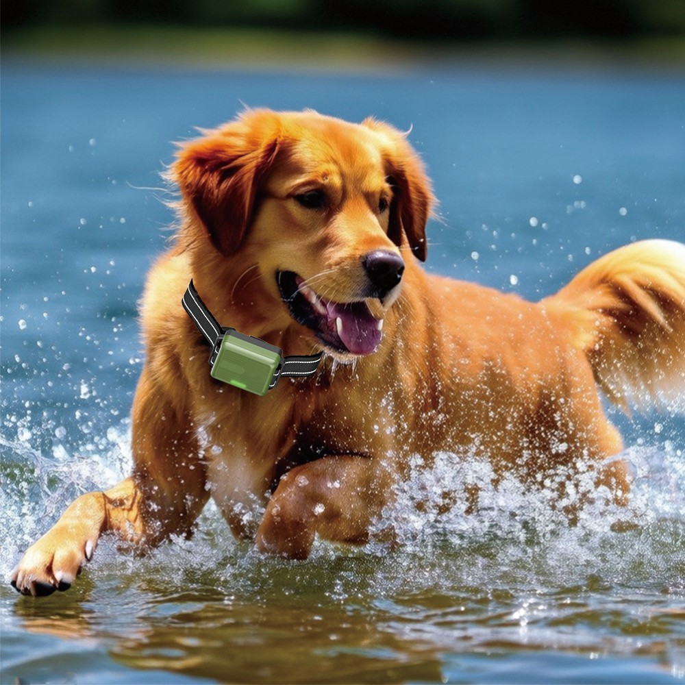 Max 4500FT Remote Dog Shock Collars Dog Training Collars Waterproof Rechargeable