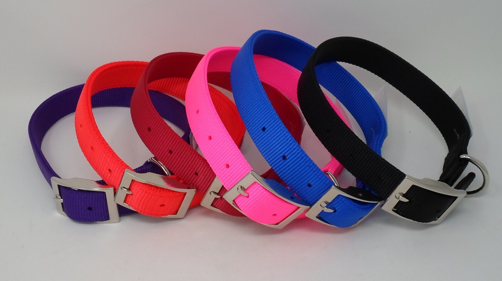 # 115N 1″ Wide 2 Ply Nylon Dog Collar Regular Dee “Free Brass Nameplate”