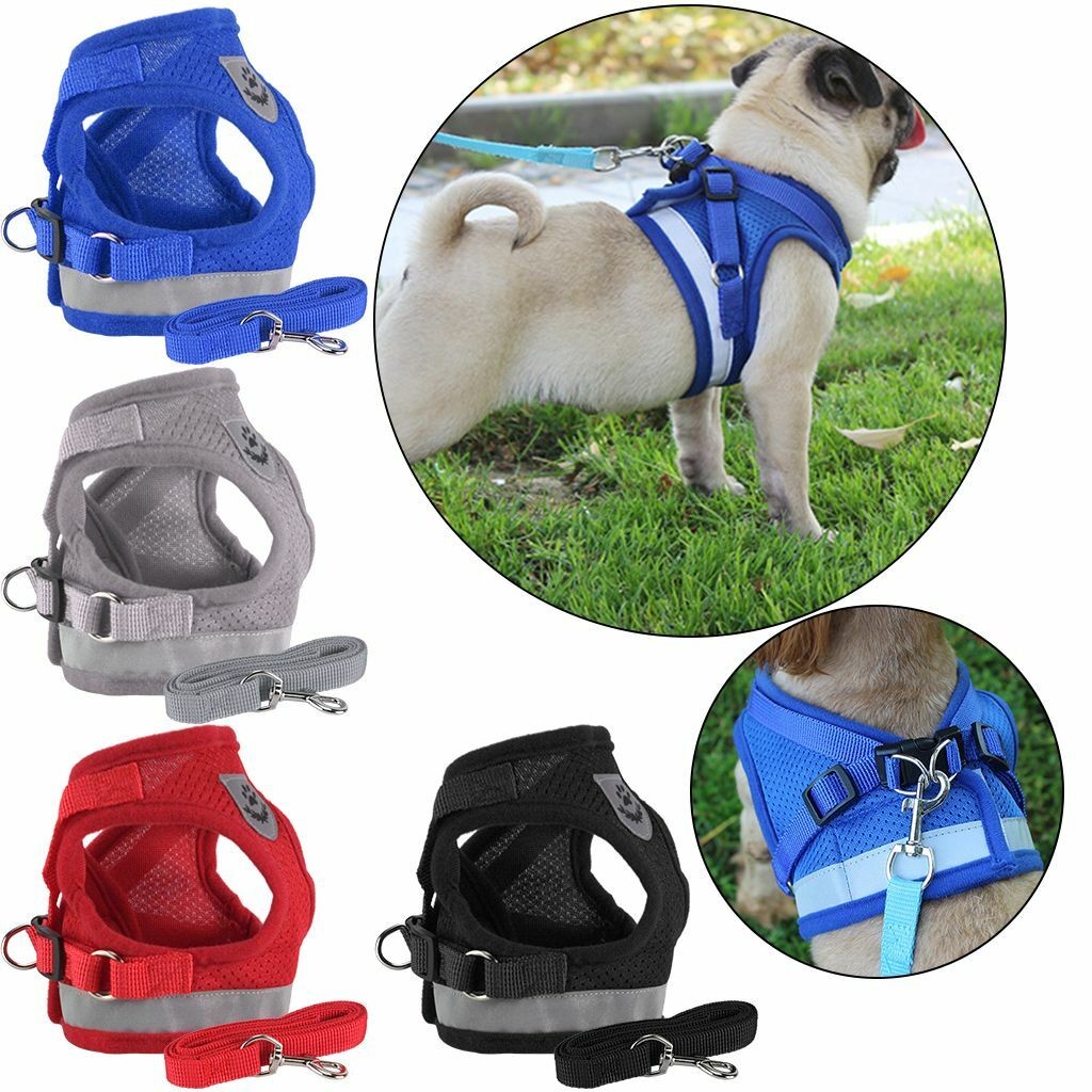 Mesh Padded Soft Puppy Pet Dog Harness Breathable Comfortable Colors XS S M L XL