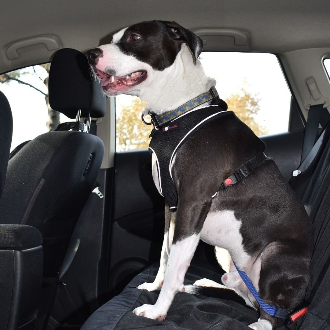Pet Dog Car Truck SUV Rear Back Seat Protector Hammock Extender Cover Waterproof