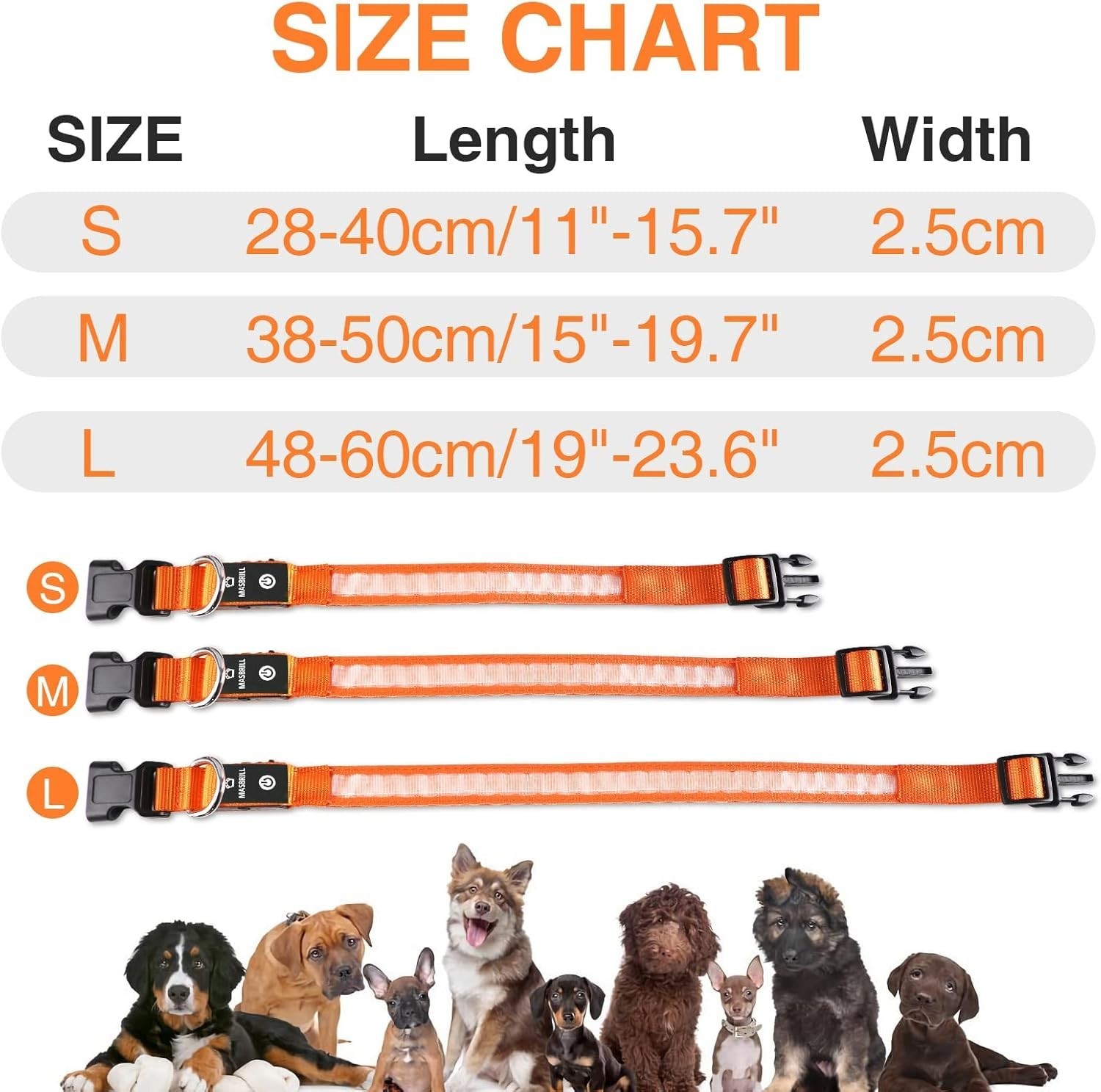 High Visibility LED Dog Collar – Waterproof Glow Collar for Nighttime Safety