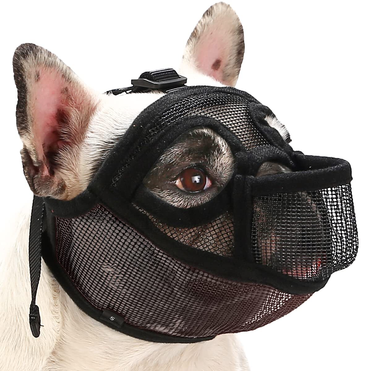 French Bulldog Muzzle, Short Snout Dog Muzzle for Shih Tzu English Bulldog, M…