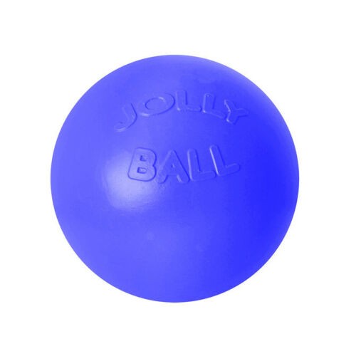 Jolly Pets Push-N-Play Ball Blue 10 inch Interactive Hard Plastic Toy for Dogs