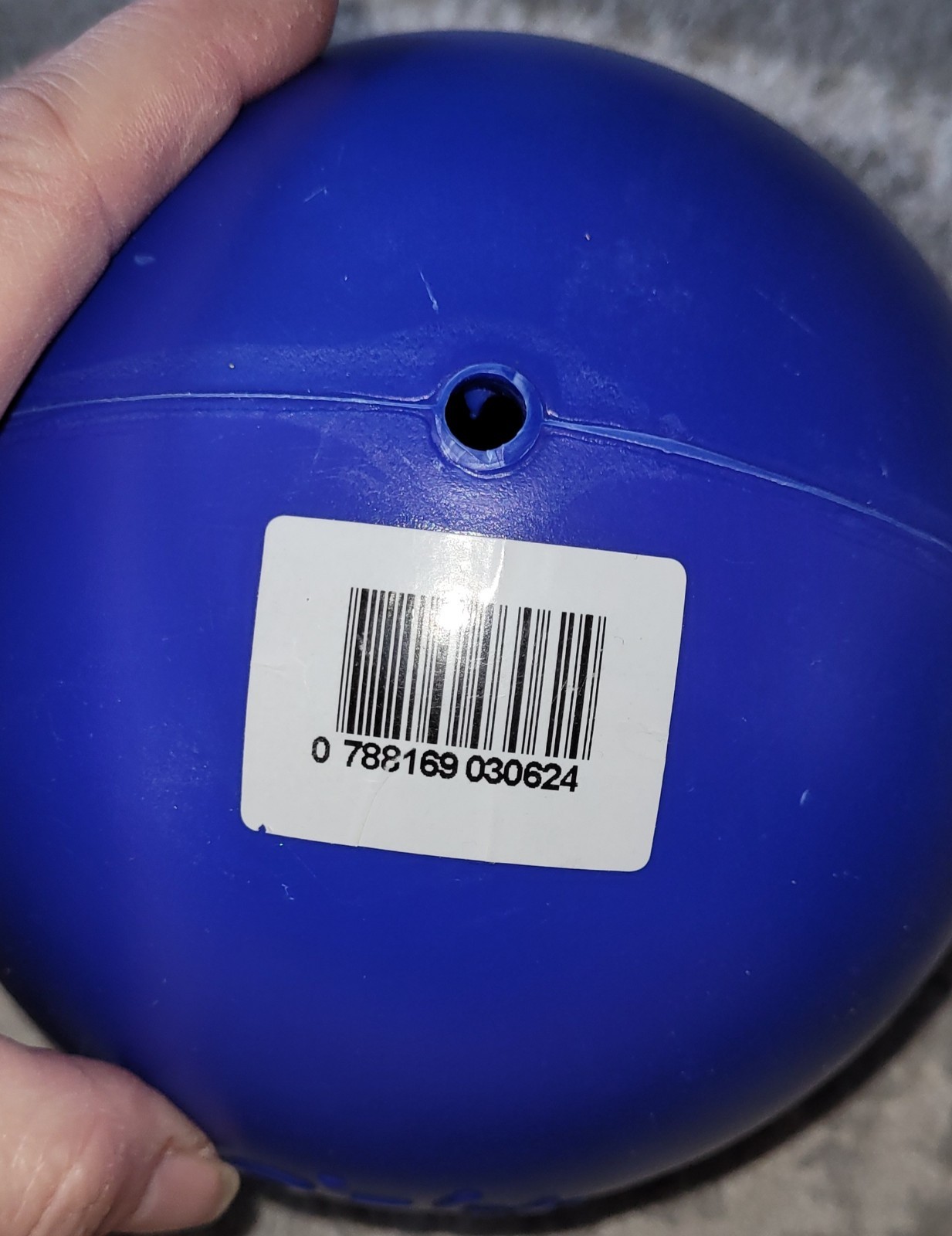 NEW Jolly Pets Push-N-Play Ball Blue 6 inch Hard Plastic Toy for Dogs